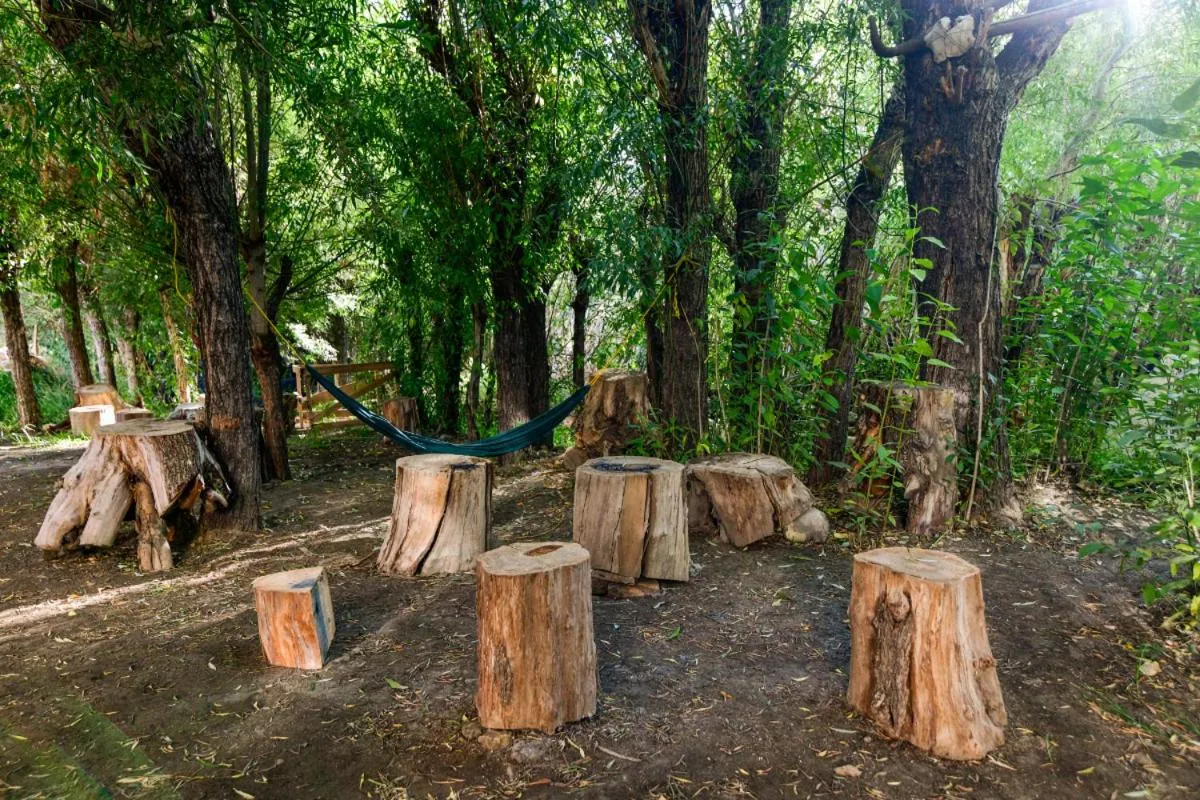 Garden in The Kart-Sey Ladakh
