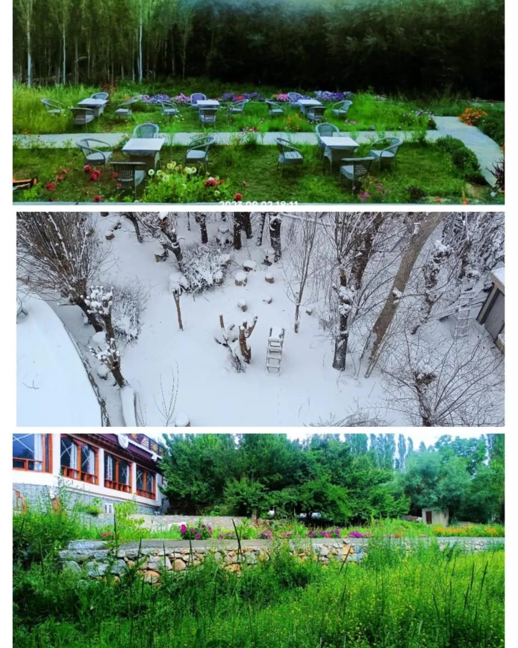 Garden in The Kart-Sey Ladakh