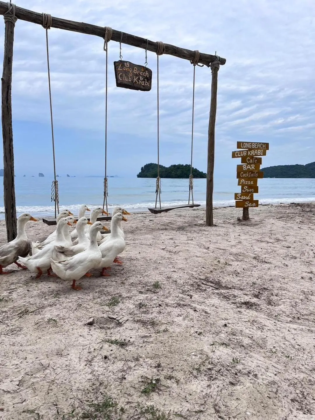 Pets in Long Beach Club Krabi
