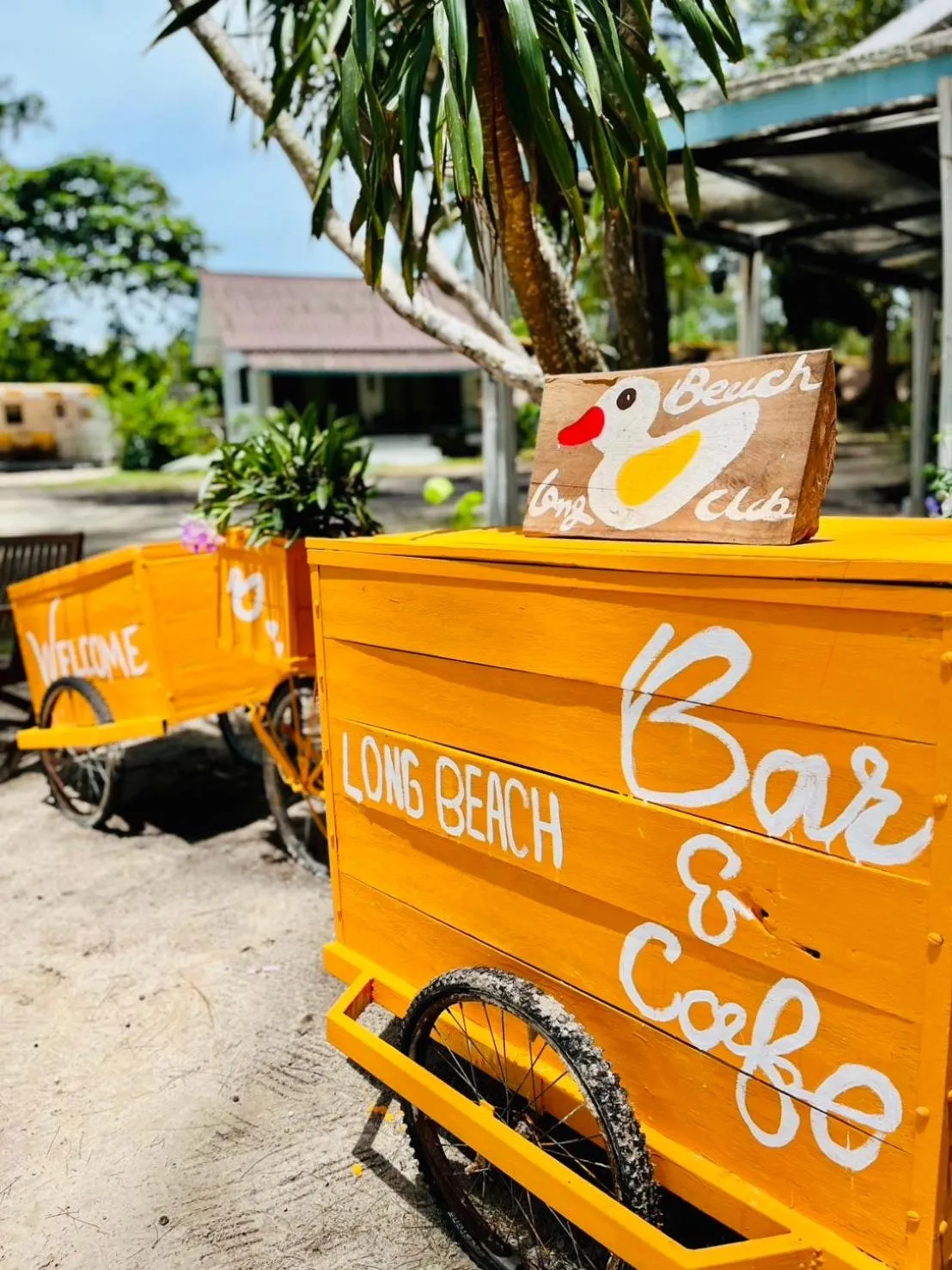 Day in Long Beach Club Krabi