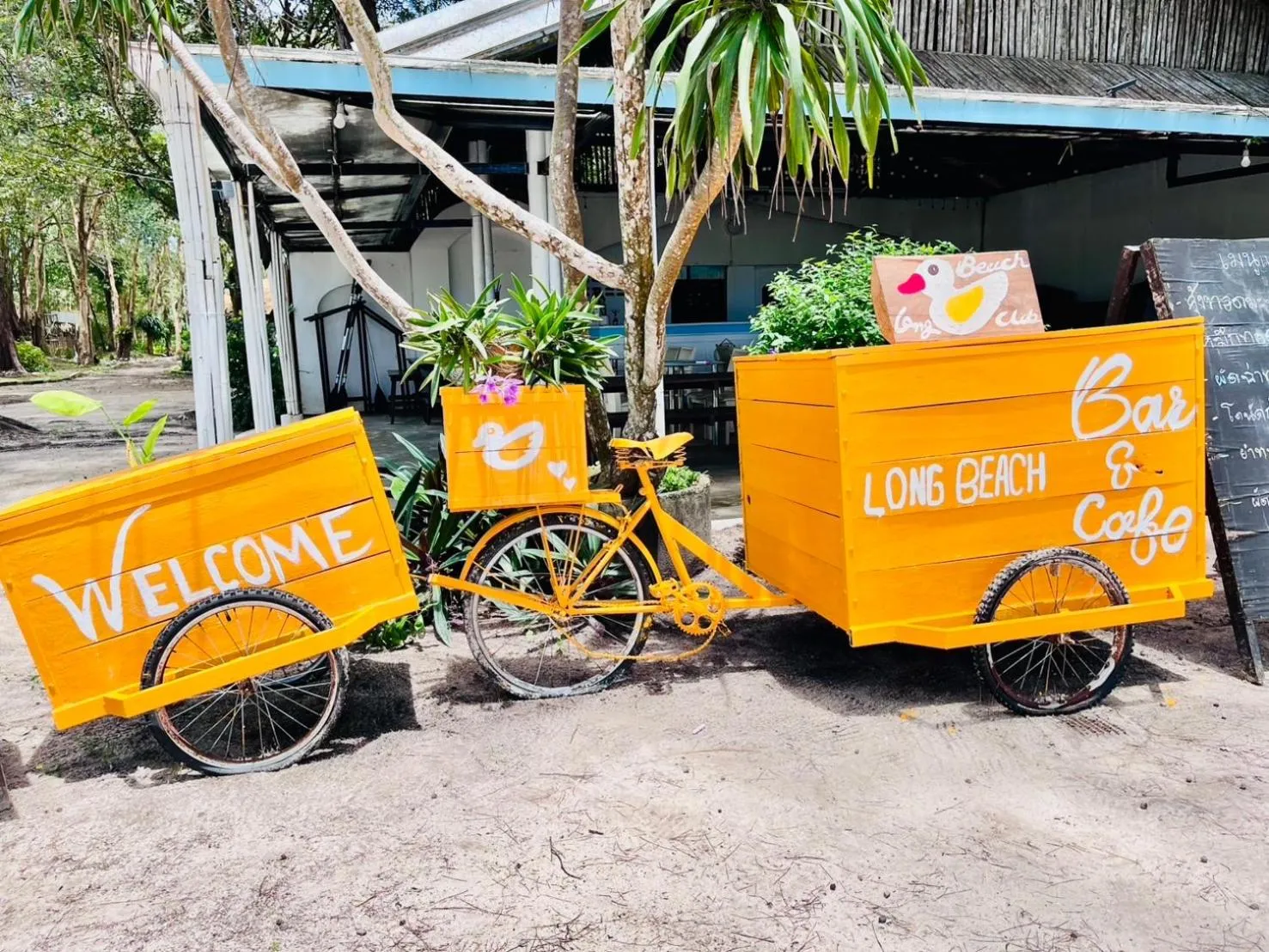 Day in Long Beach Club Krabi