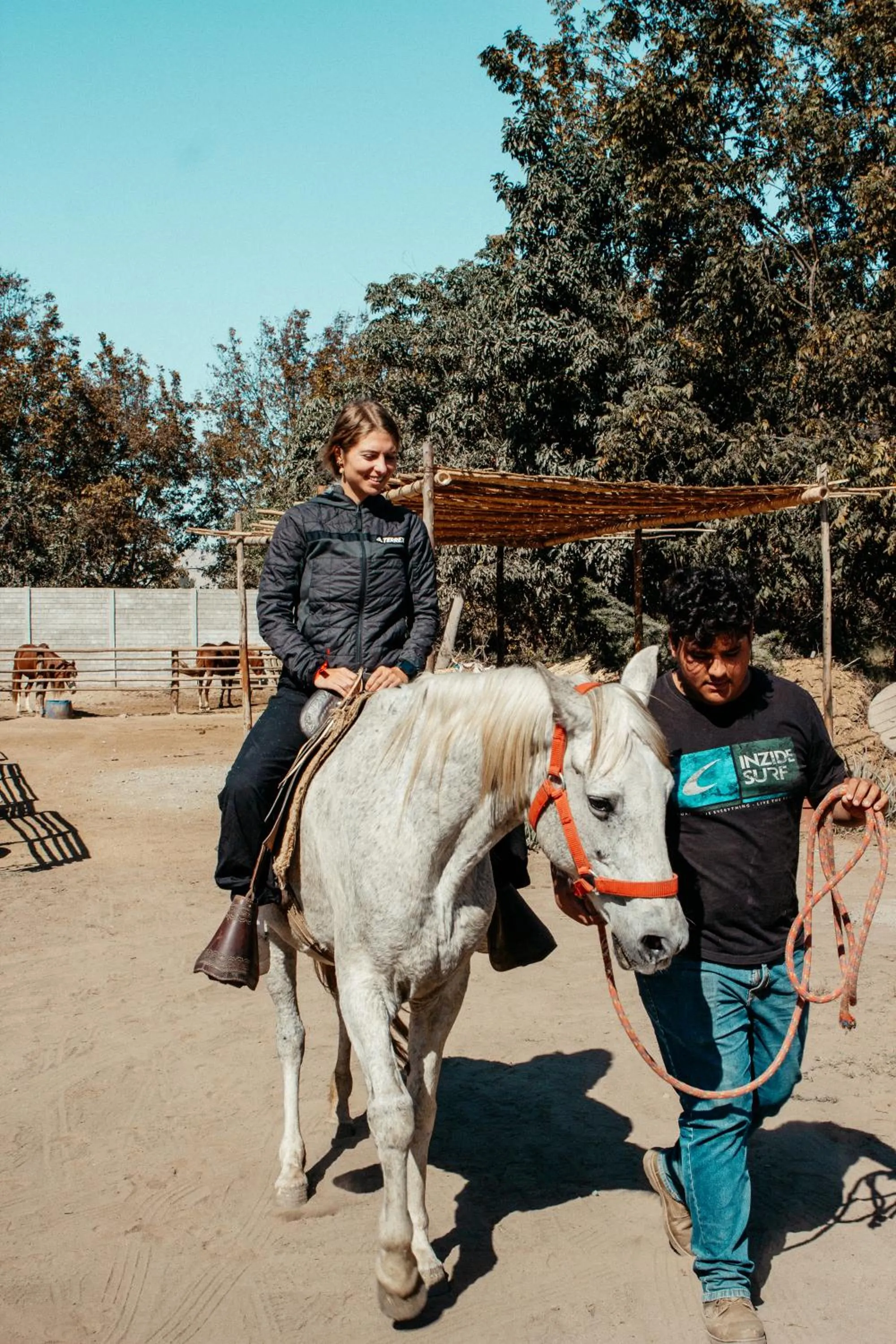 Day in Serenity Lodge