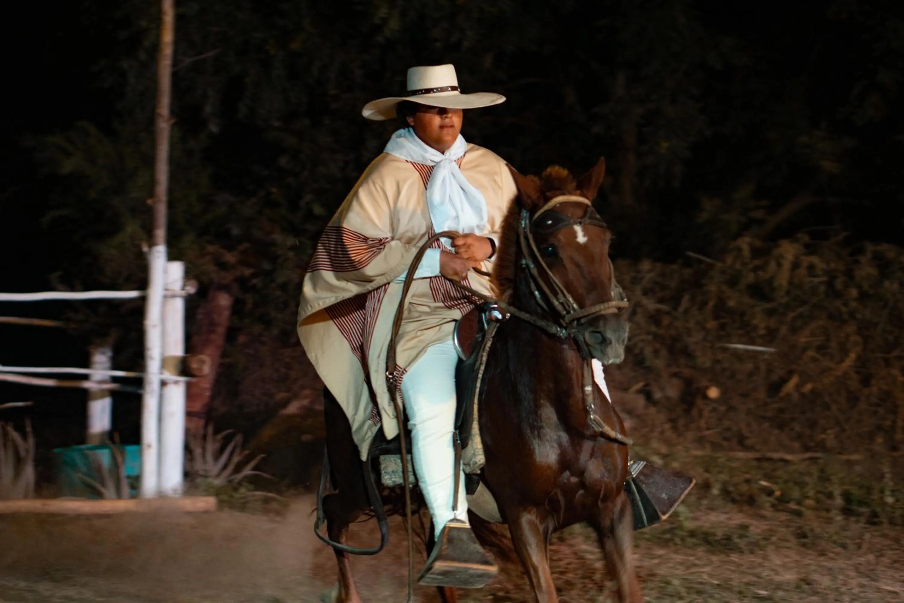 Horse-riding in Serenity Lodge