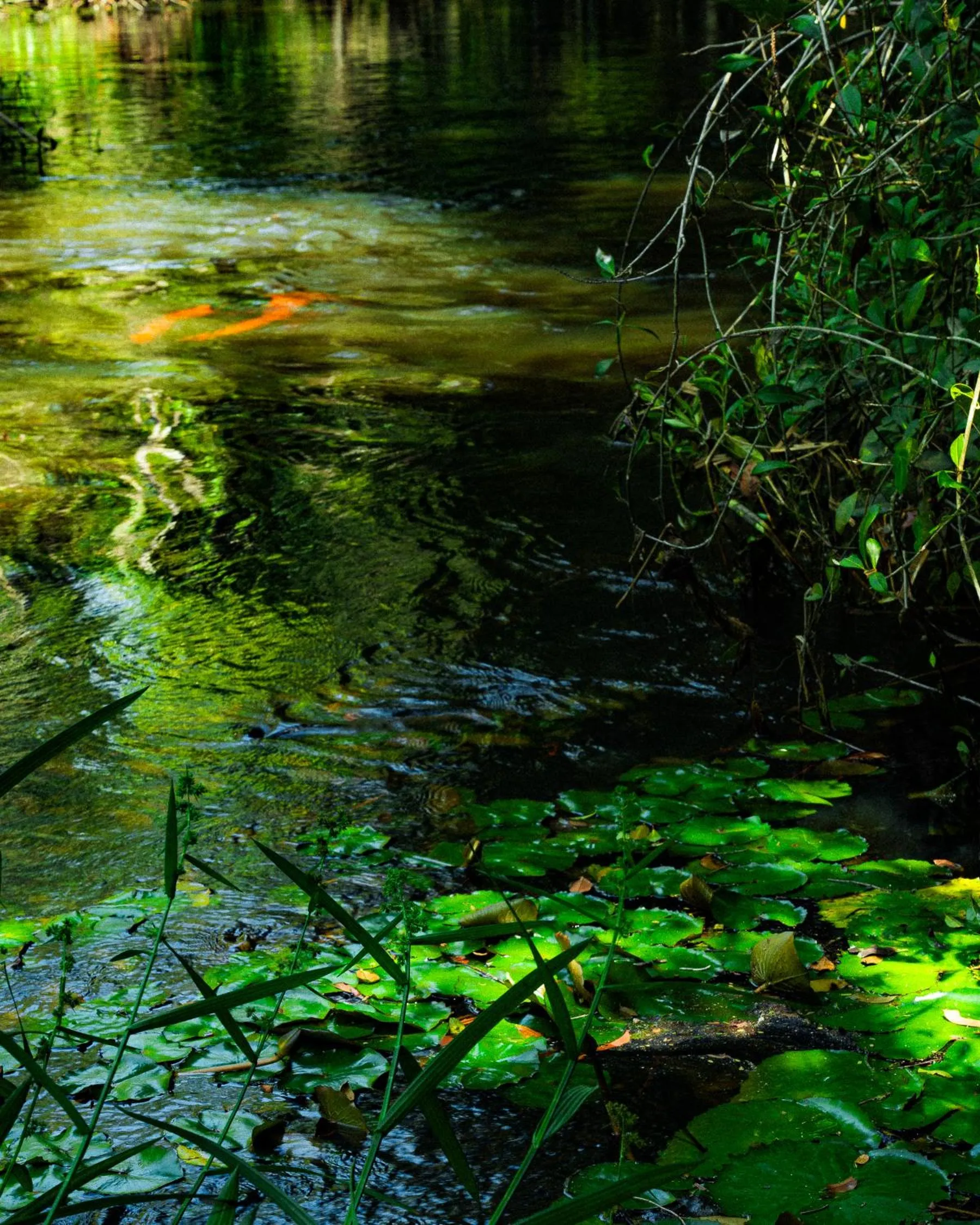 Activities in Casa Baiana Pousada & Aconchego