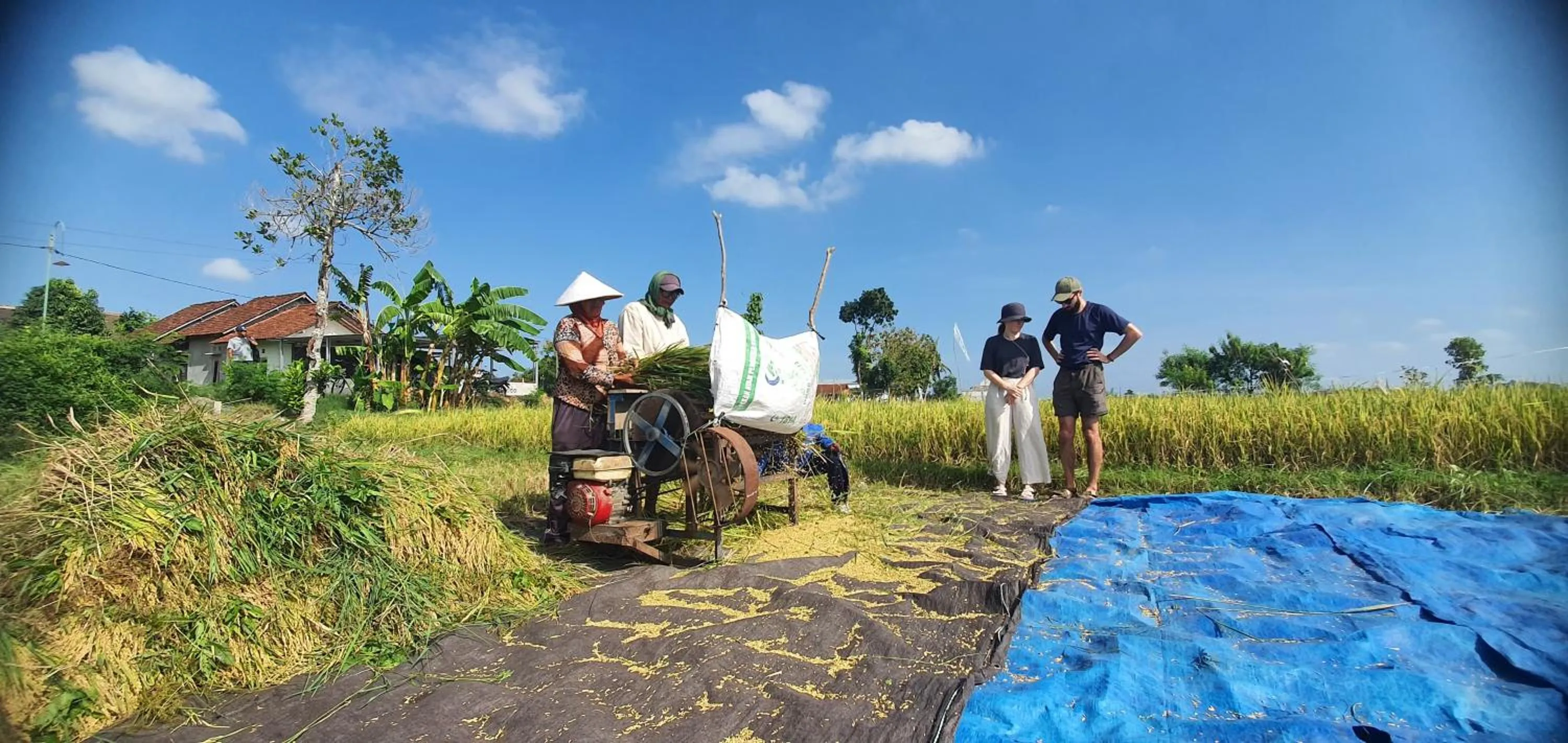 Activities in Yukke Tembi Homestay