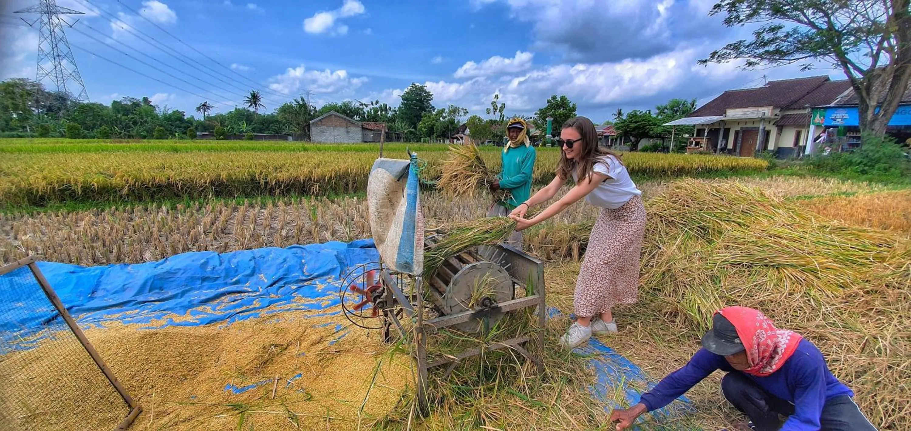 Activities in Yukke Tembi Homestay