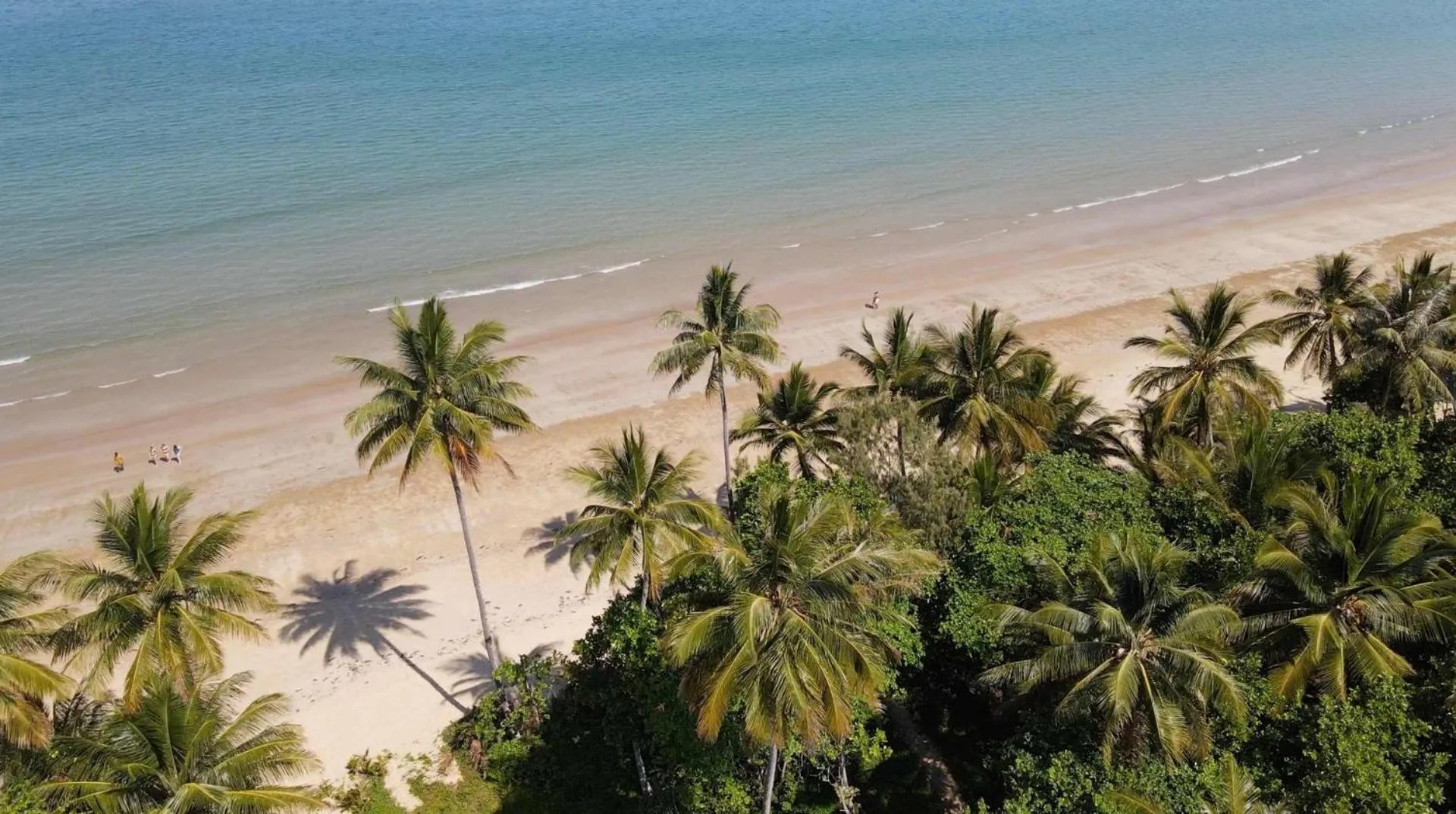Ulysses One Beachfront Escape 1 Bedroom
