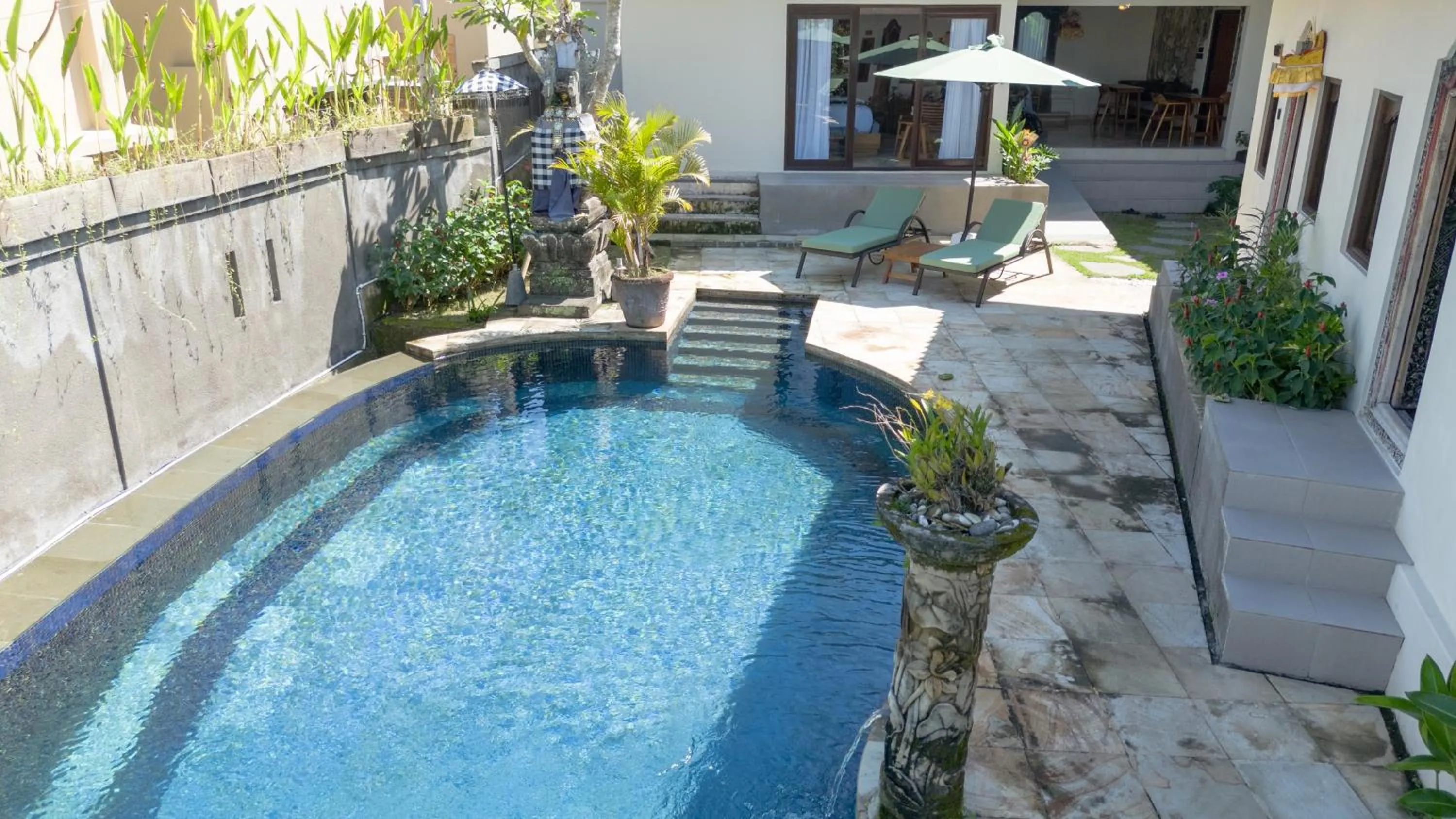 Swimming pool in Oma Ubud