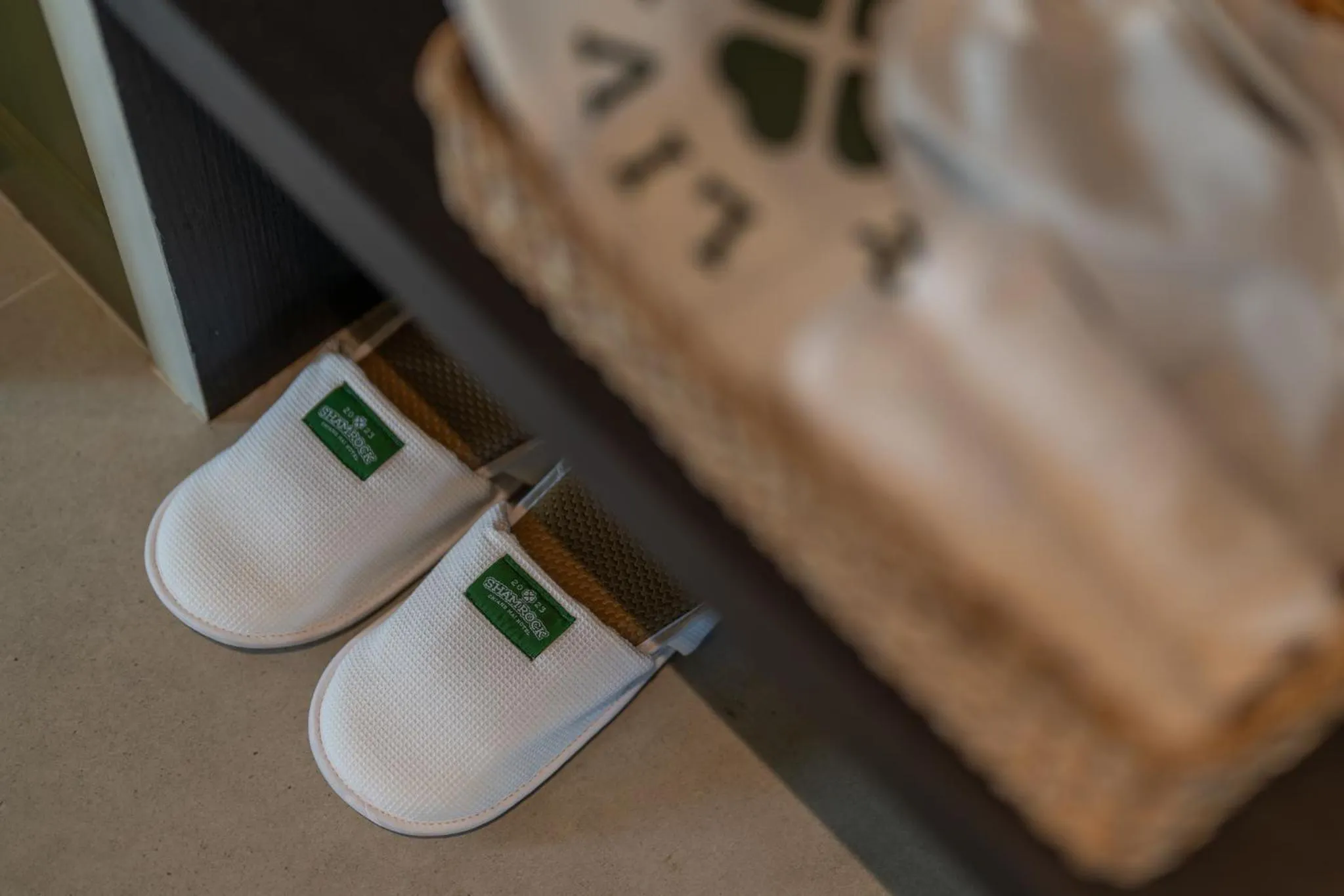 Area and facilities in Shamrock Chiangmai Hotel-Adult Only