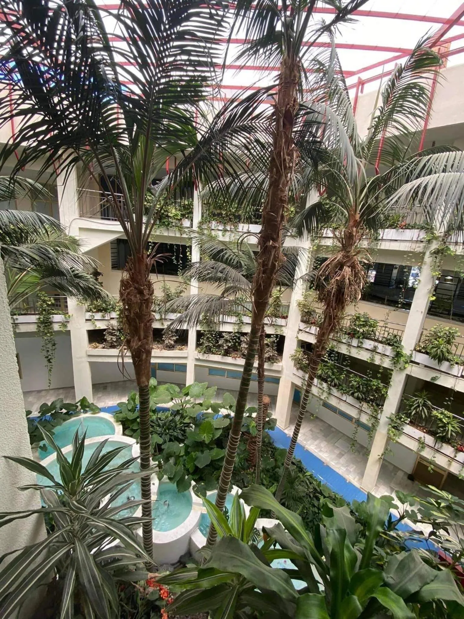 Garden in Benal Beach