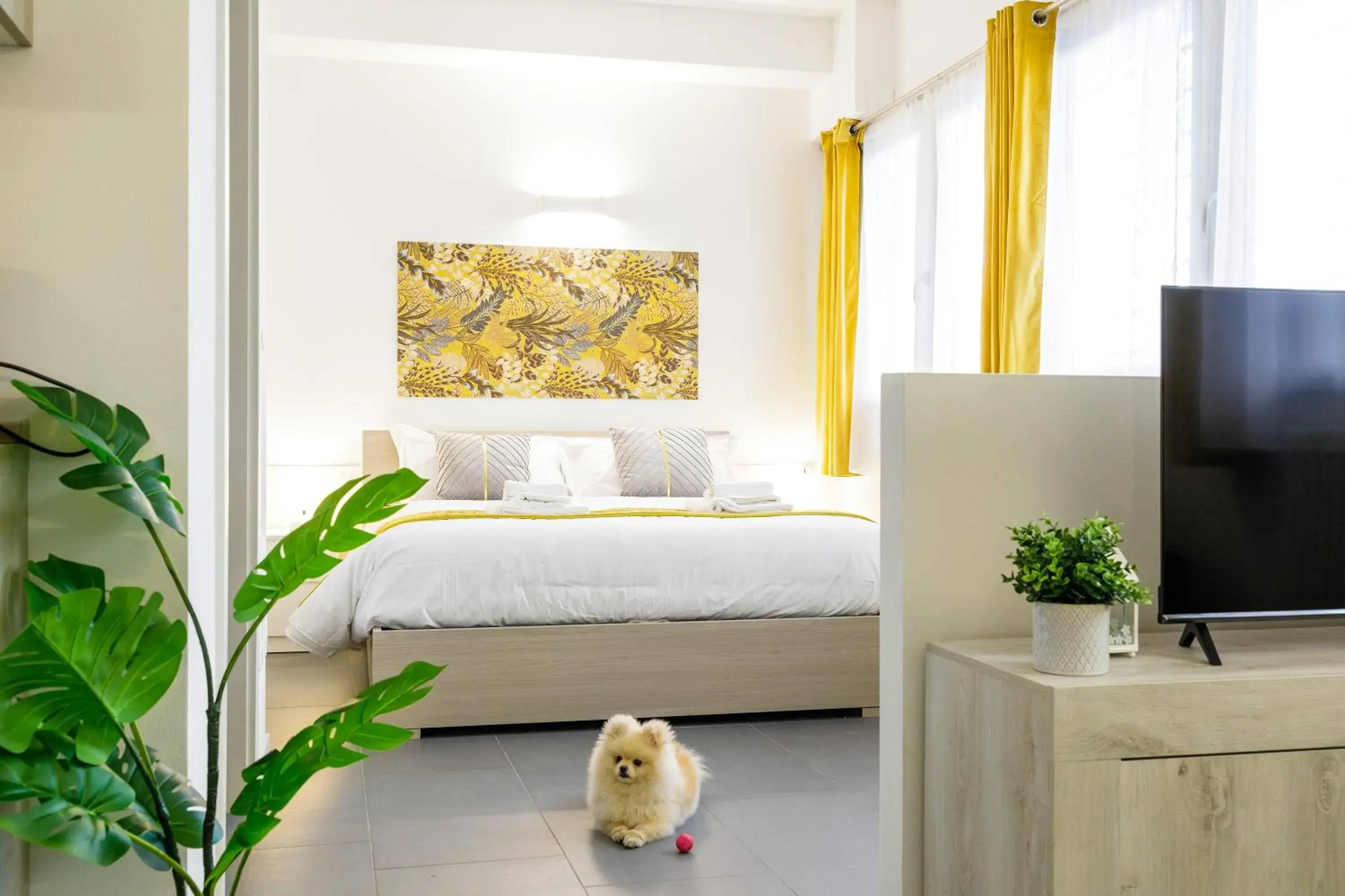 San Felice Residence San Felice Residence