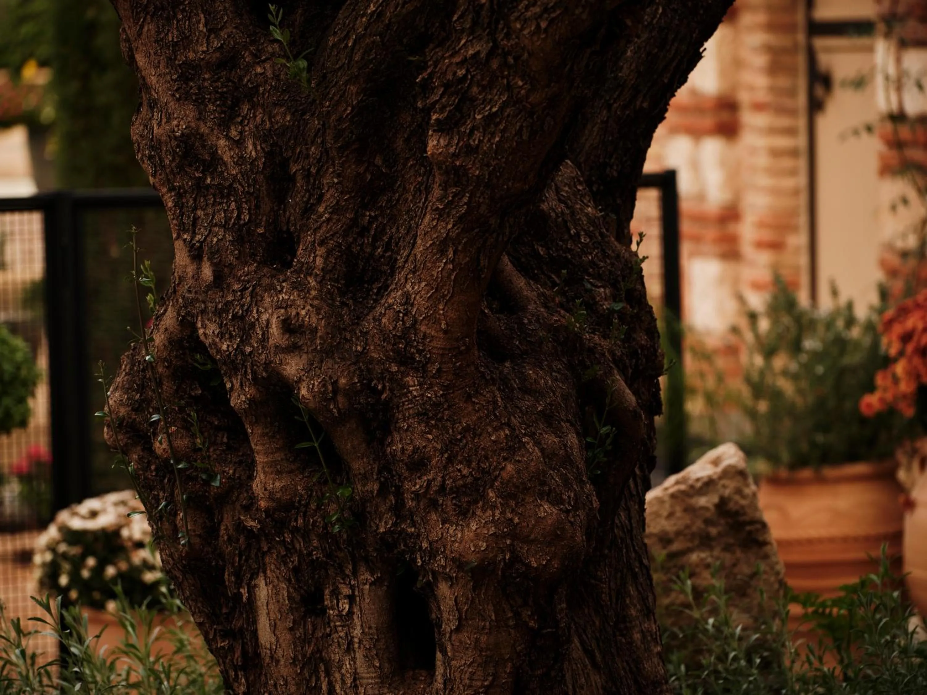 Natural landscape in Not Boutique Hotel