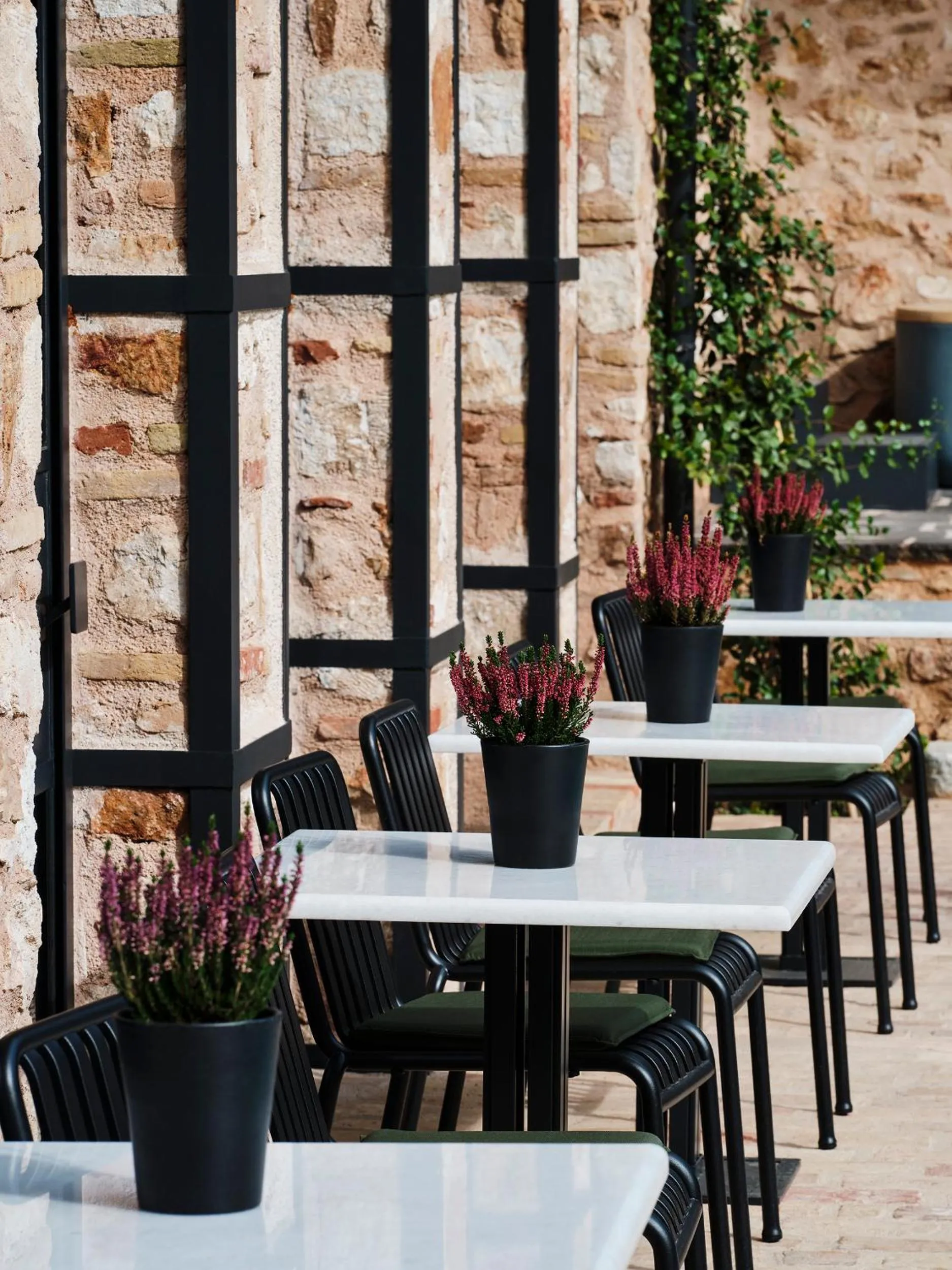 Patio in Not Boutique Hotel