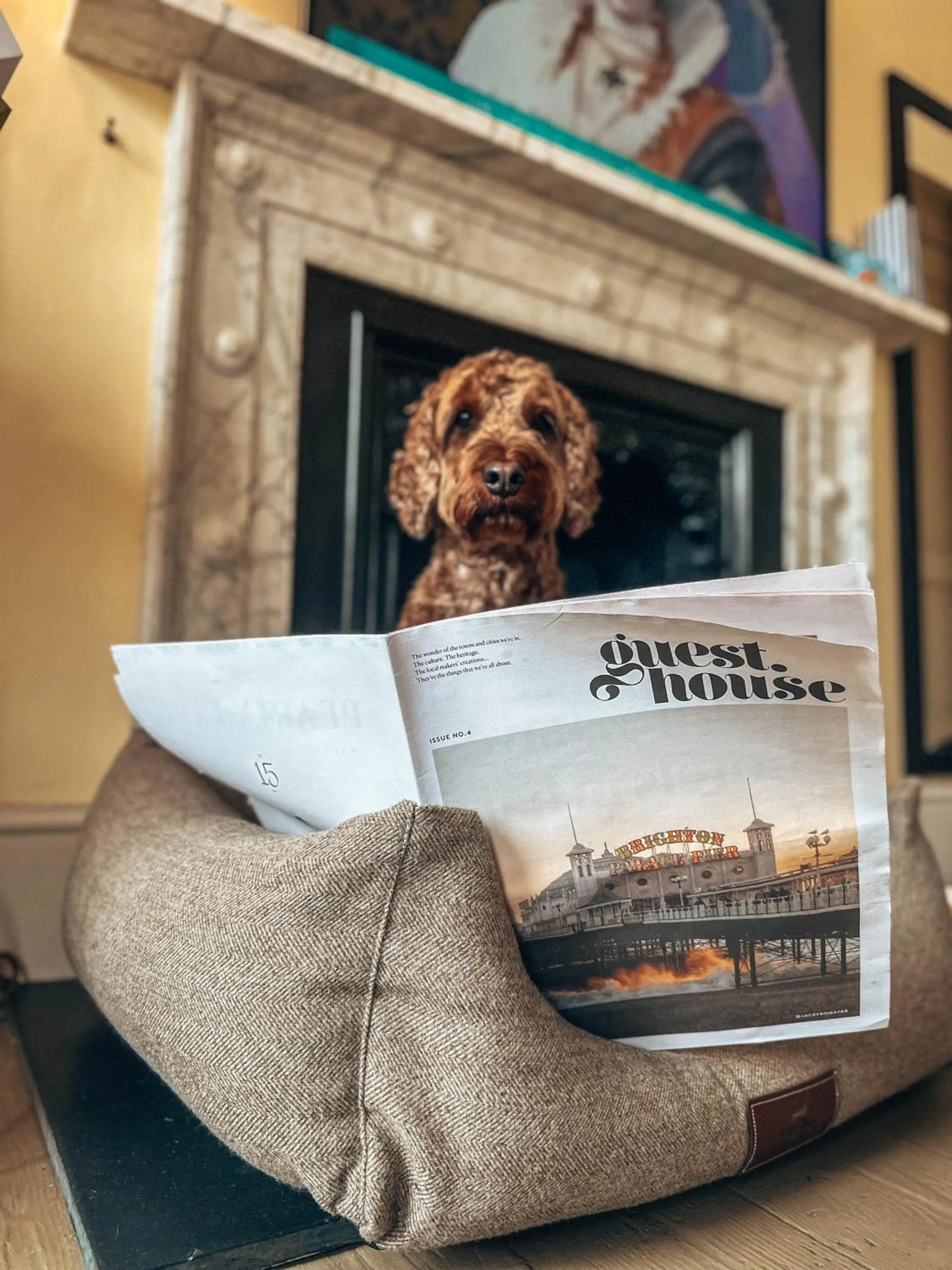 Pets in No 15 by GuestHouse, Bath