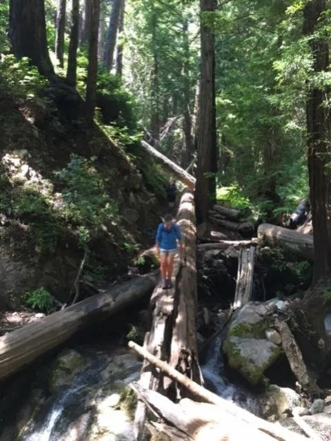 Natural landscape in HarborWalk Inn