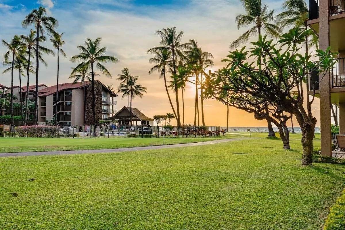 Papakea A306 · Papakea A306 Remodel Oceanfront Studio Getaway