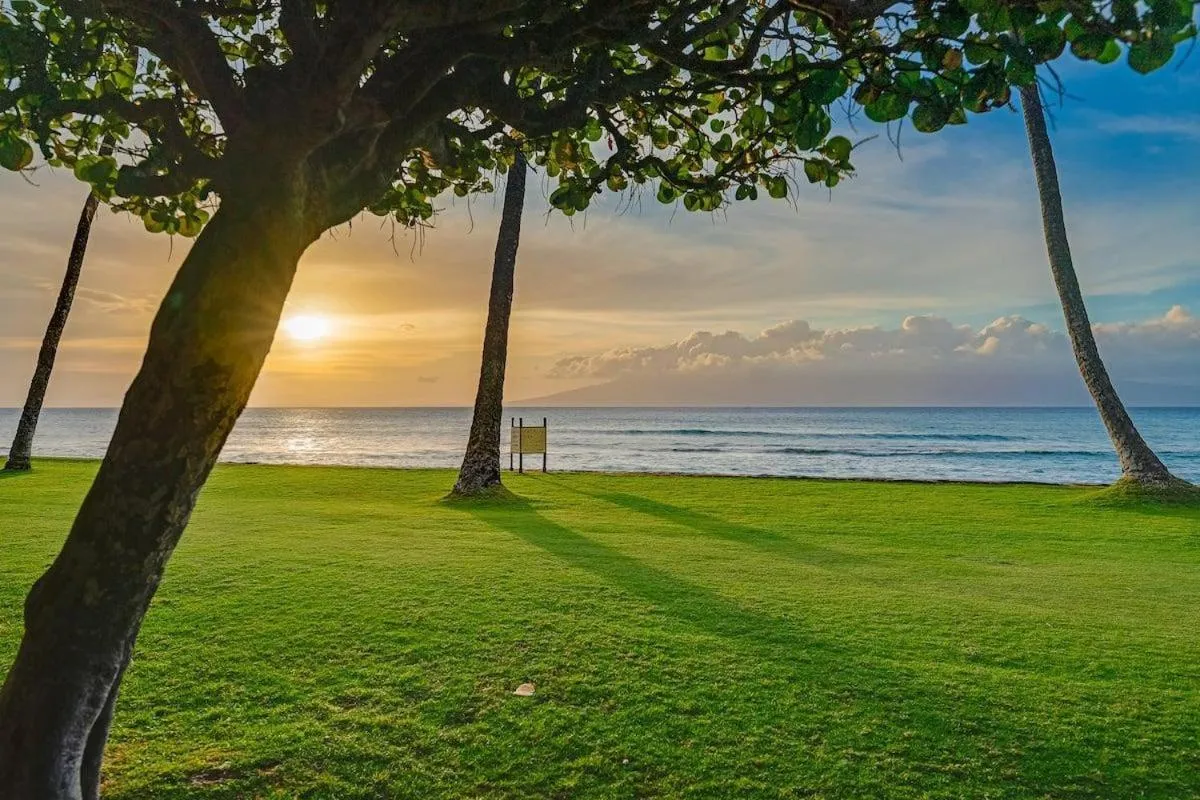 Papakea A306 · Papakea A306 Remodel Oceanfront Studio Getaway