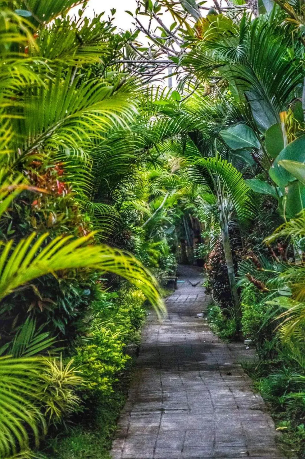 The Sawah Resort & Villa