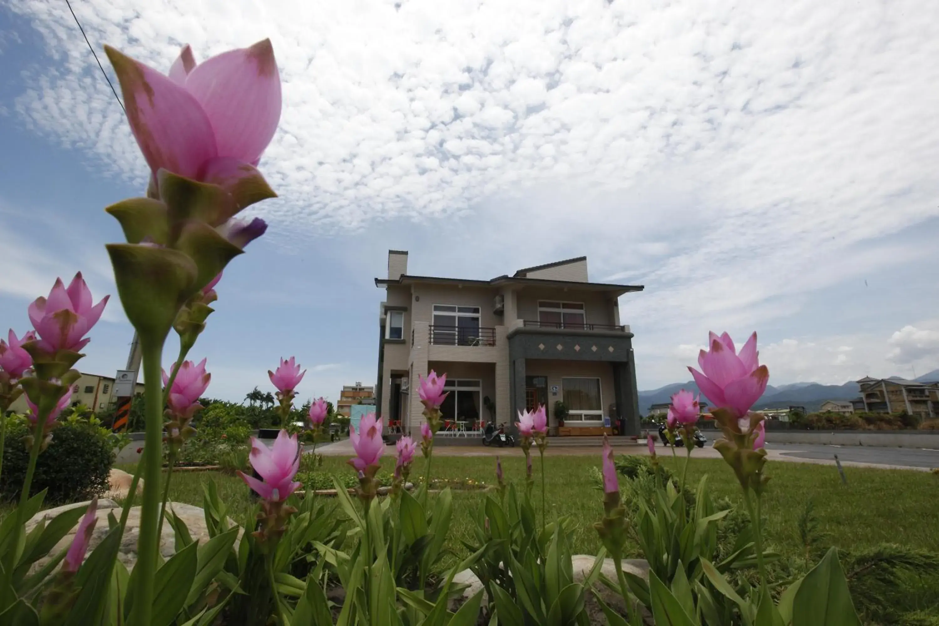 Jing Xiang Hua Nong B&B Jing Xiang Hua Nong B&B