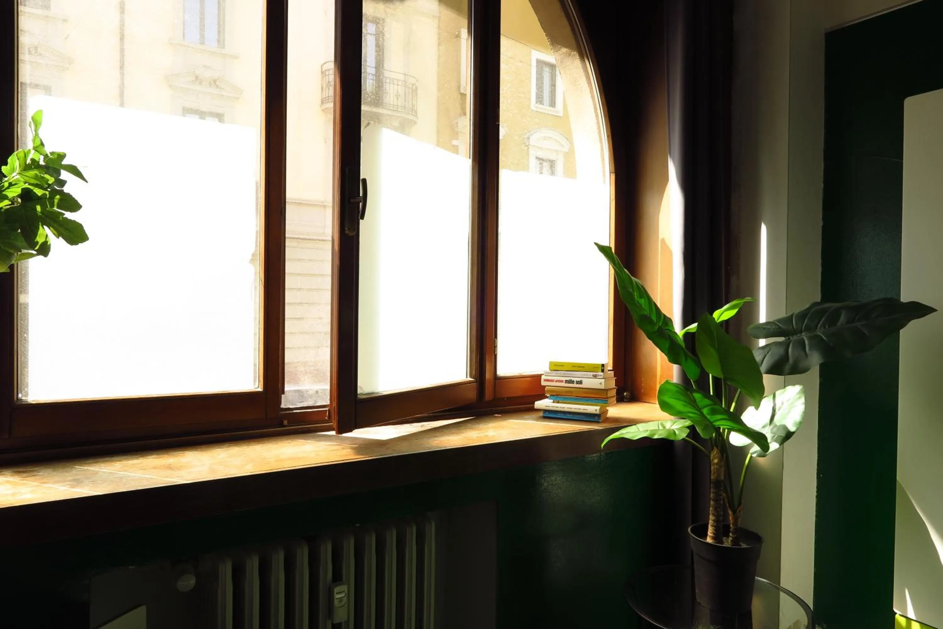 View (from property/room) in Koala Hostel