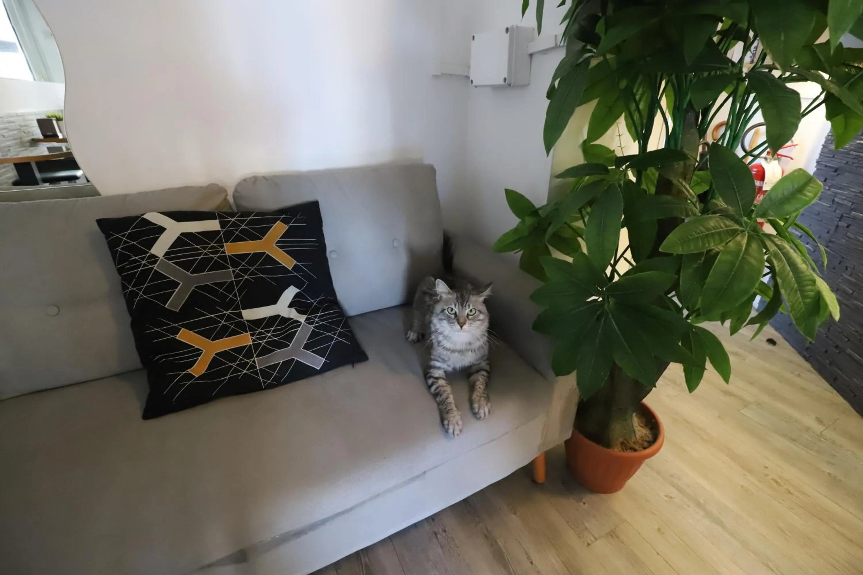 Guest House Pirelli Milano