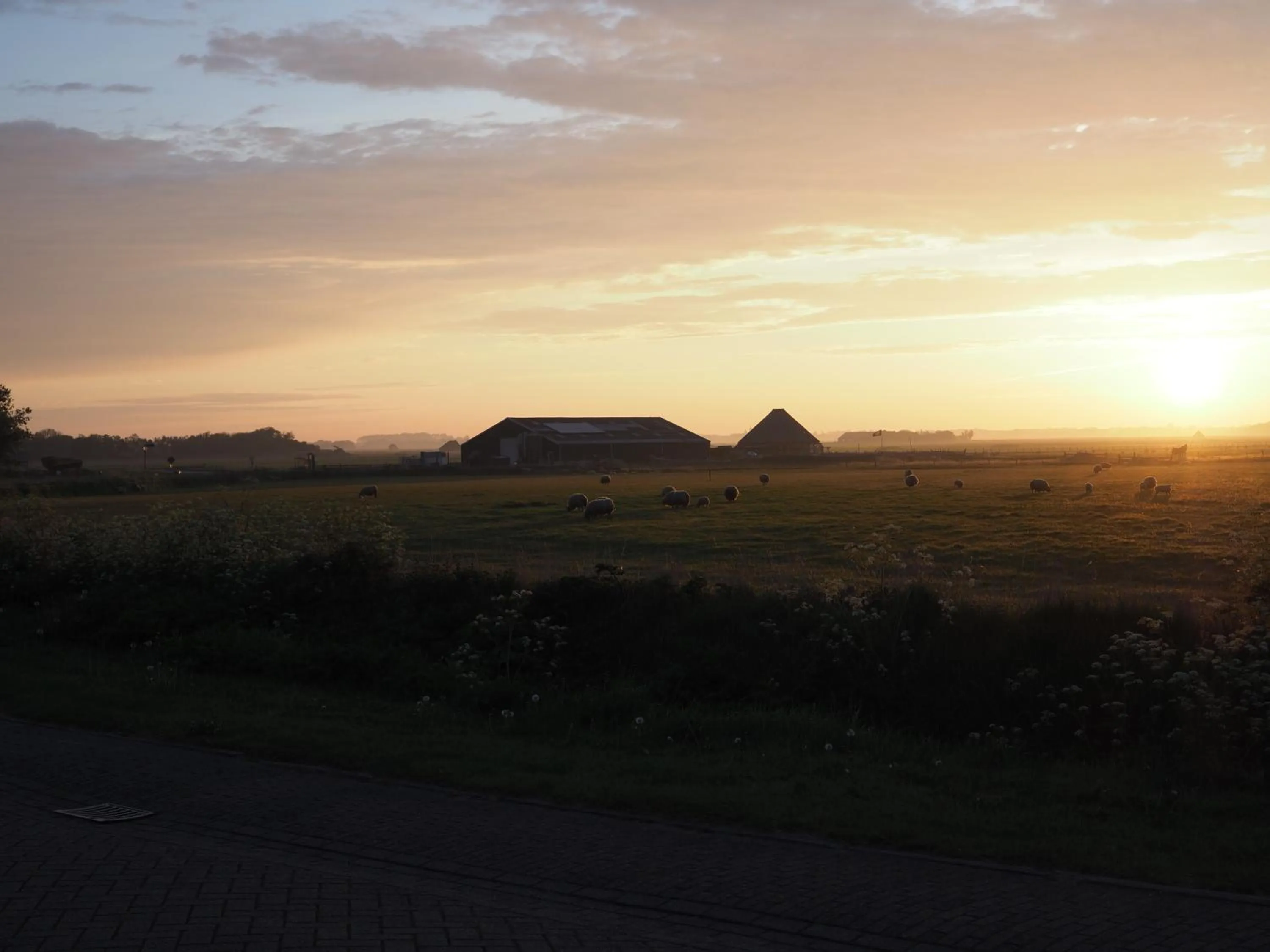 View (from property/room) in Hotel-Restaurant Loodsmans Welvaren