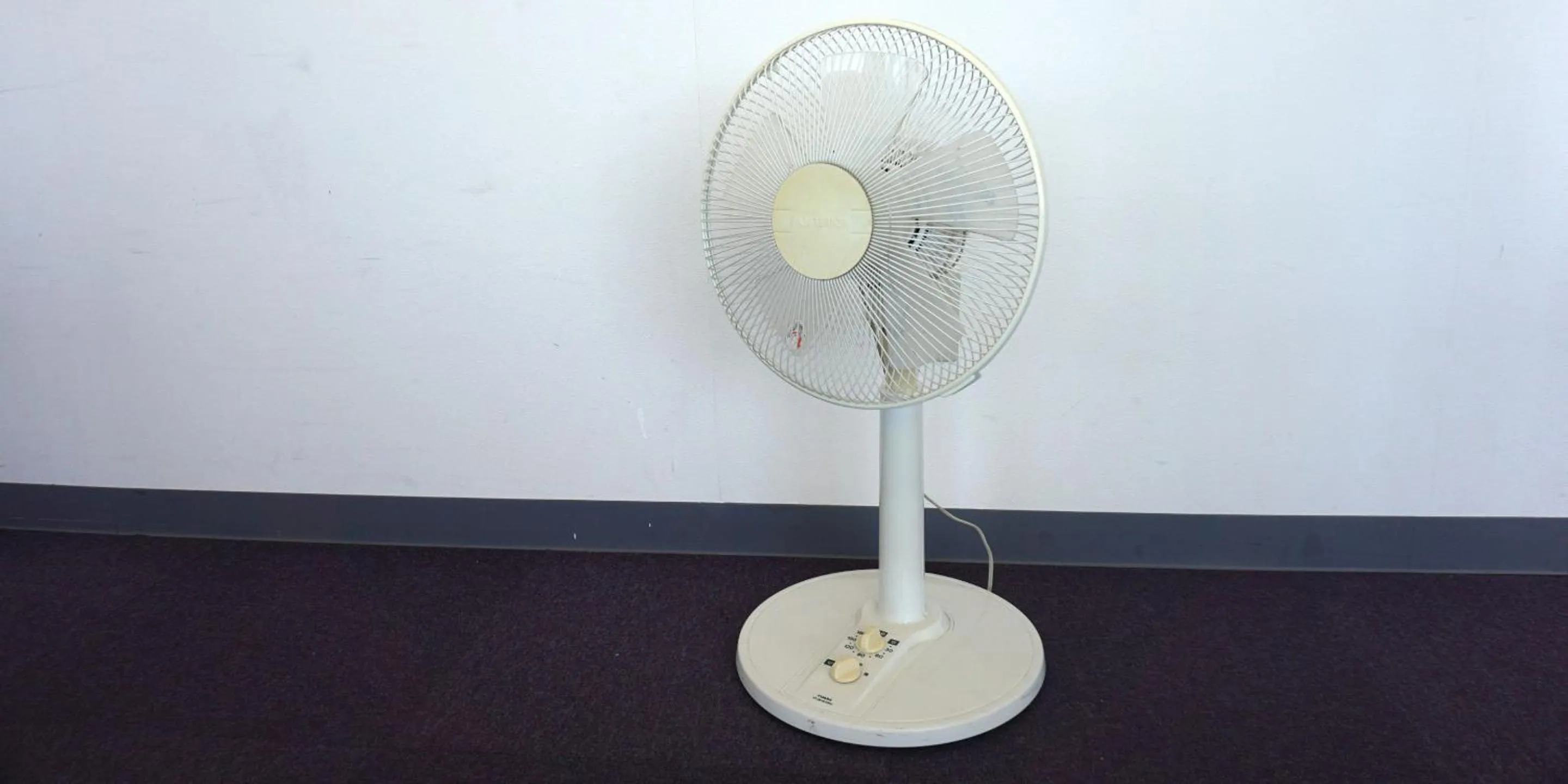 Photo of the whole room in Hotel Orox