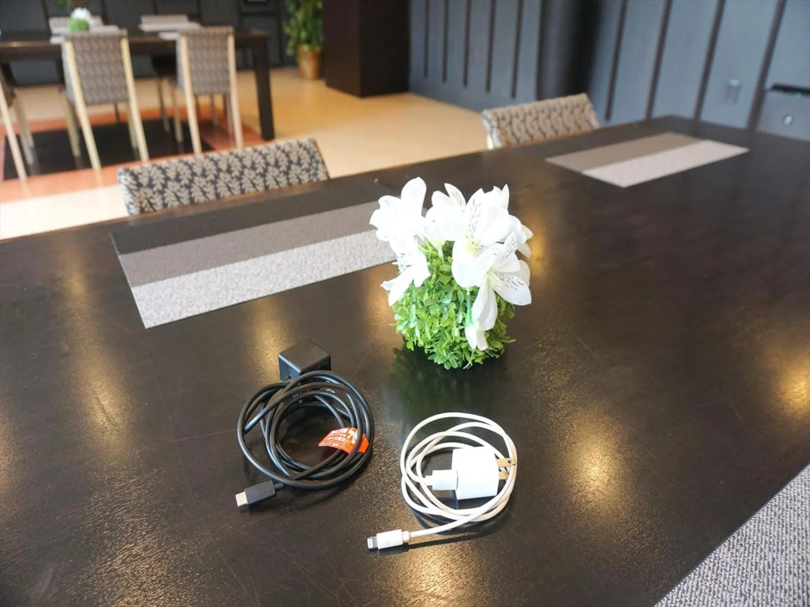 Area and facilities in Hotel Orox