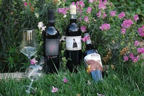 Garden in Posada Real del Buen Camino, alojamiento rural