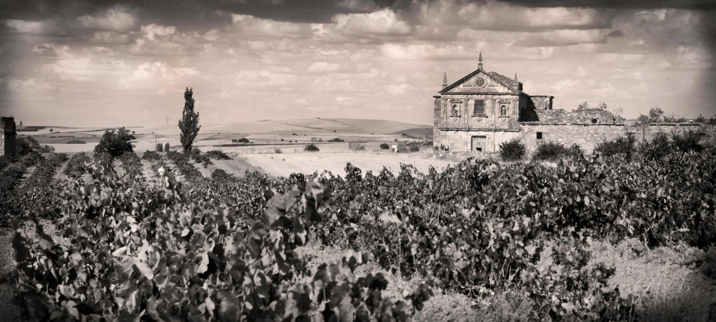 Natural landscape in Posada Real del Buen Camino, alojamiento rural