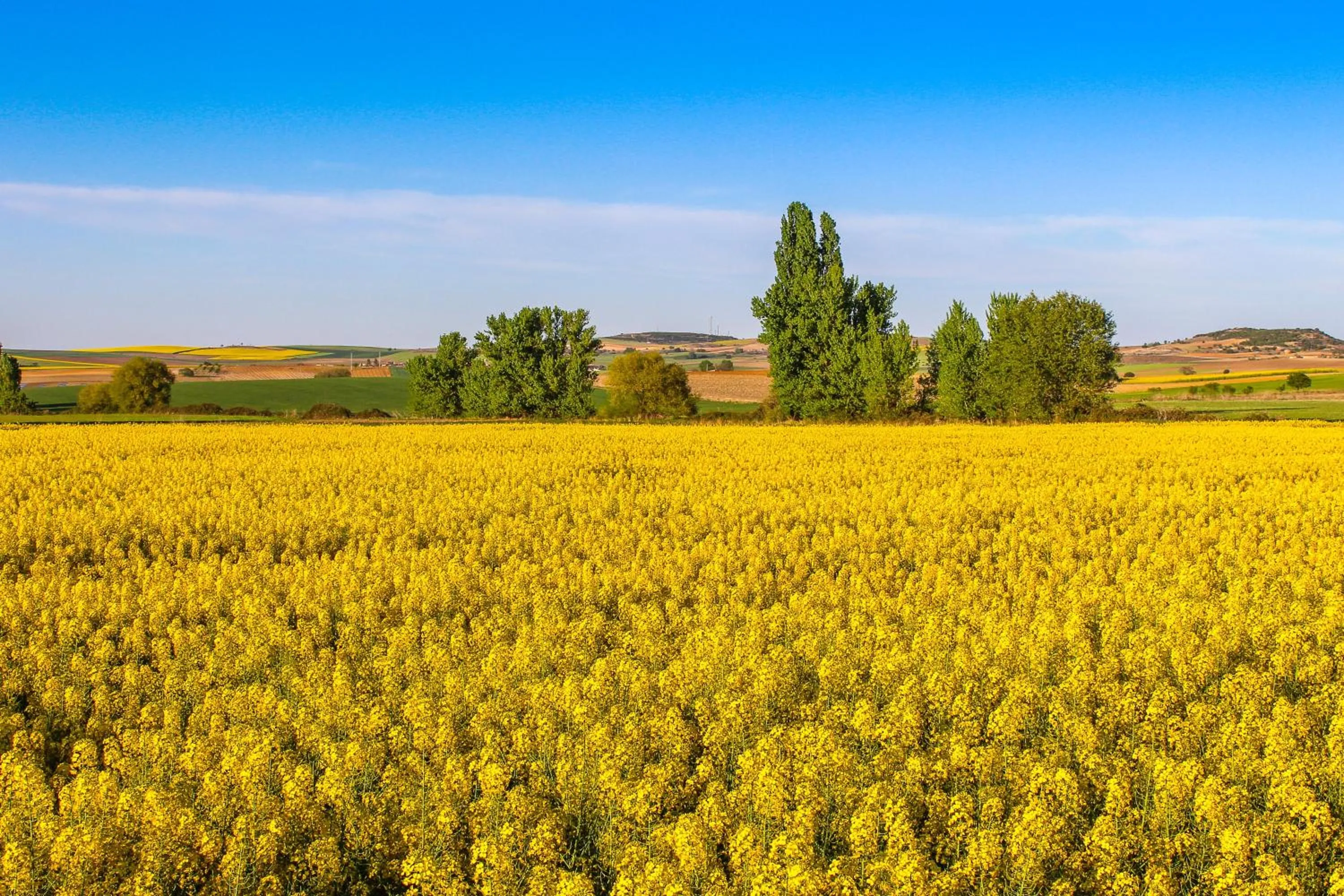 Natural landscape in Posada Real del Buen Camino, alojamiento rural