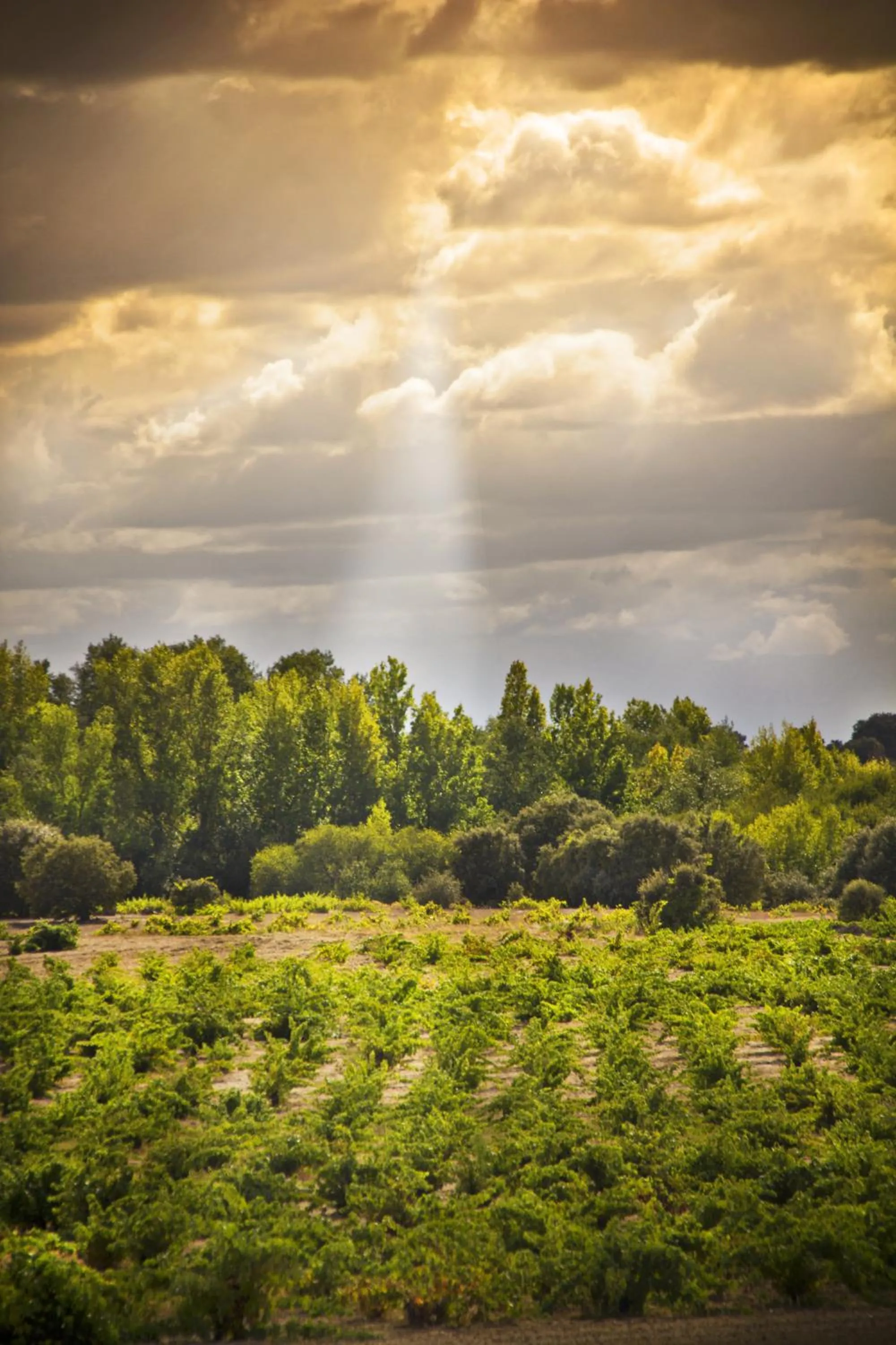 Mountain view in Posada Real del Buen Camino, alojamiento rural
