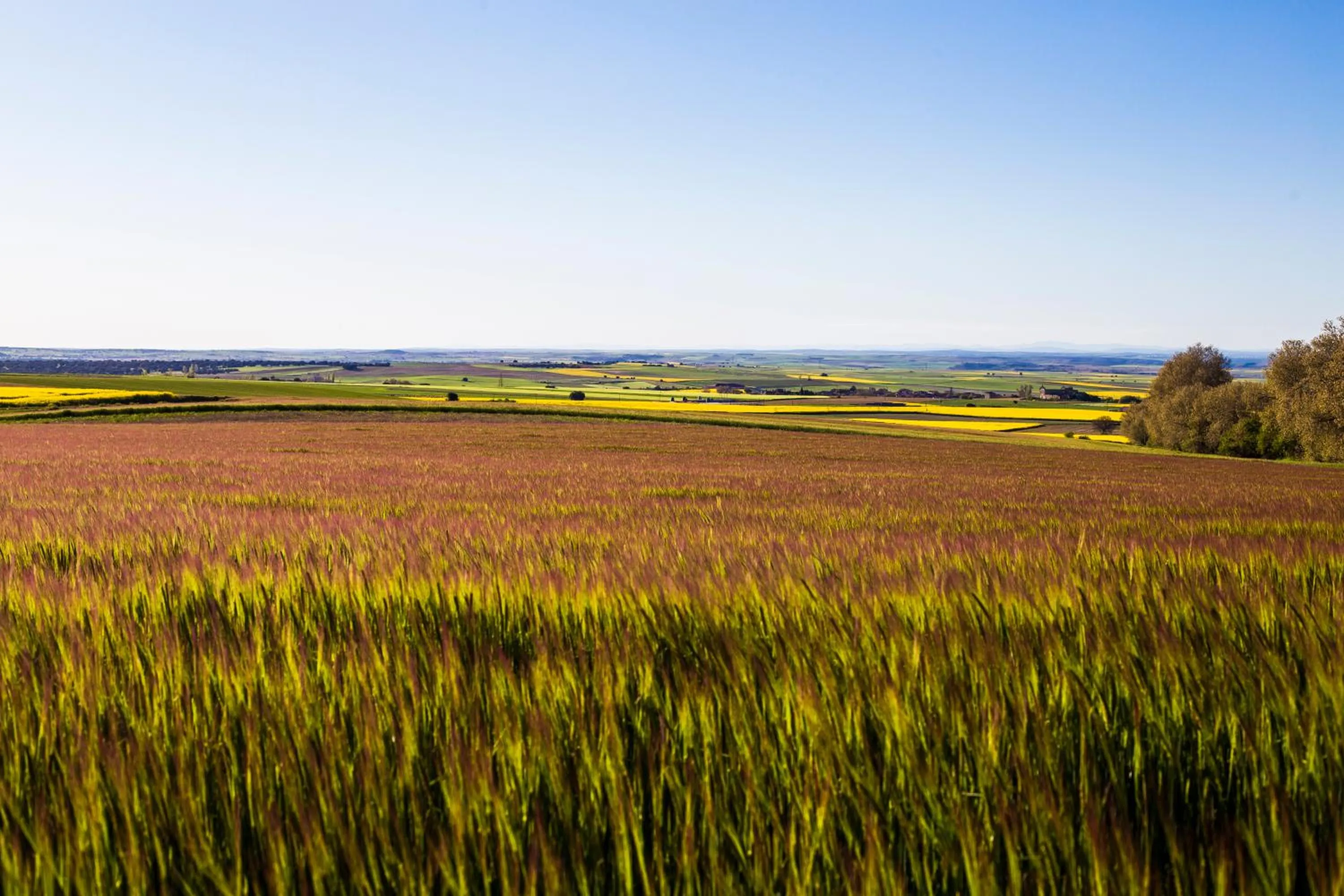 Day in Posada Real del Buen Camino, alojamiento rural
