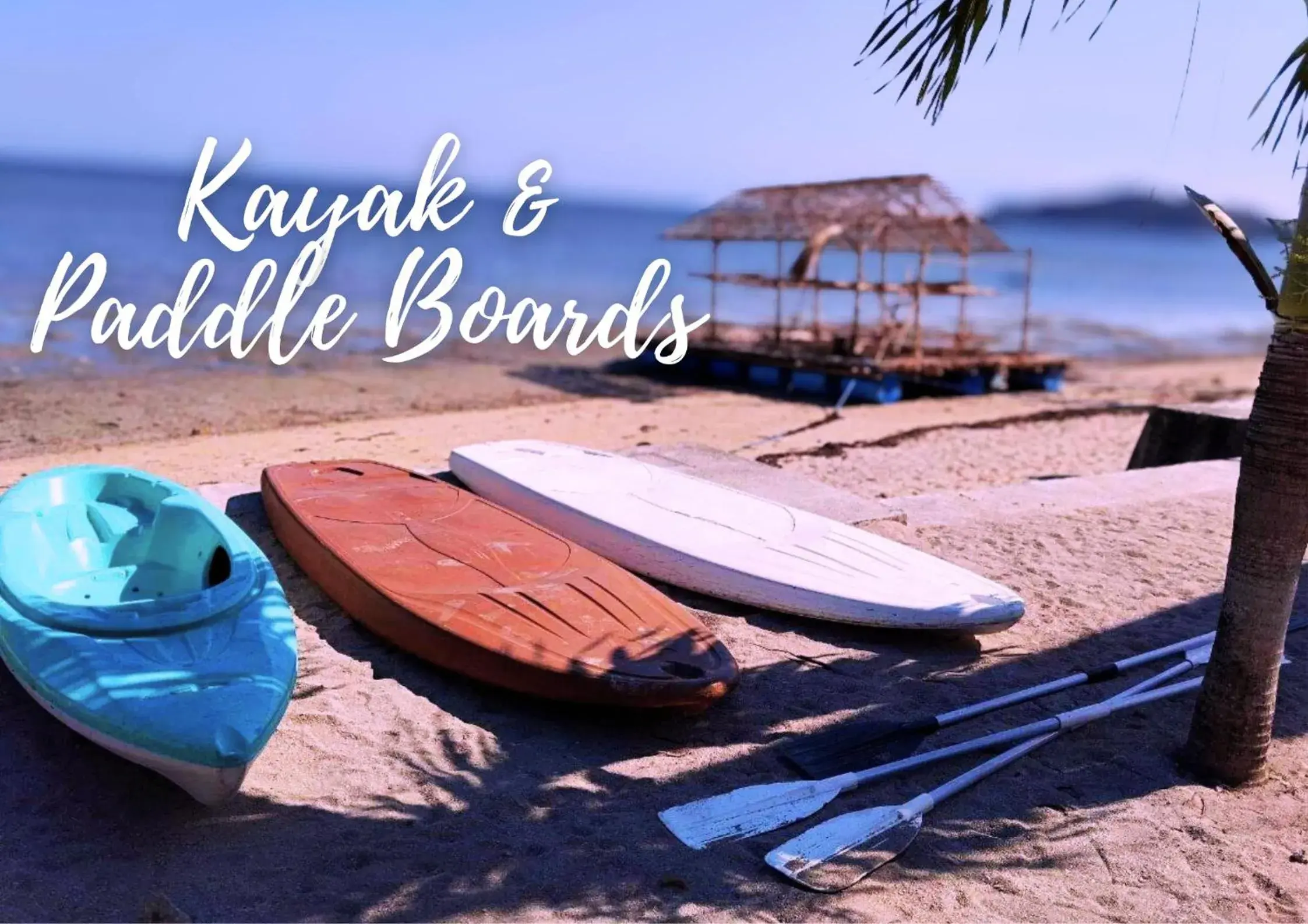 Budget Single Room - single occupancy in The Blessed Purple Bamboo Beach Resort Budget Single Room - single occupancy in The Blessed Purple Bamboo Beach Resort