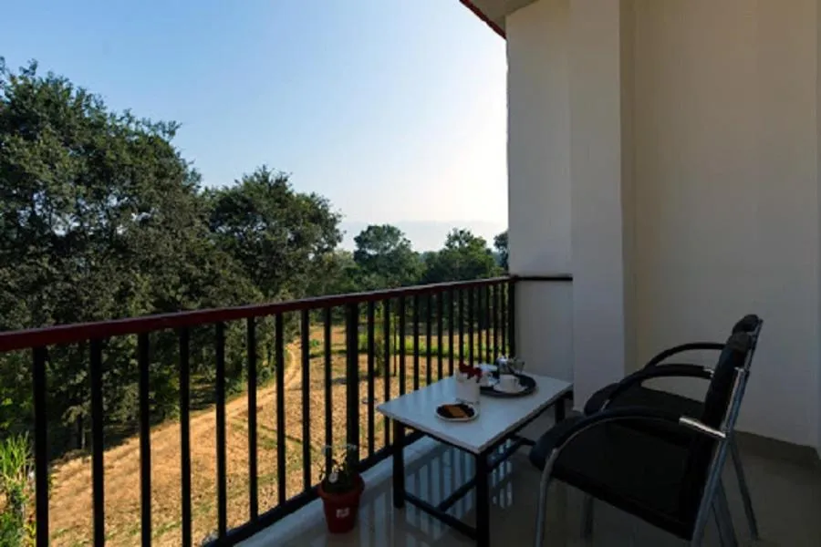 Balcony/Terrace in Hotel Roop