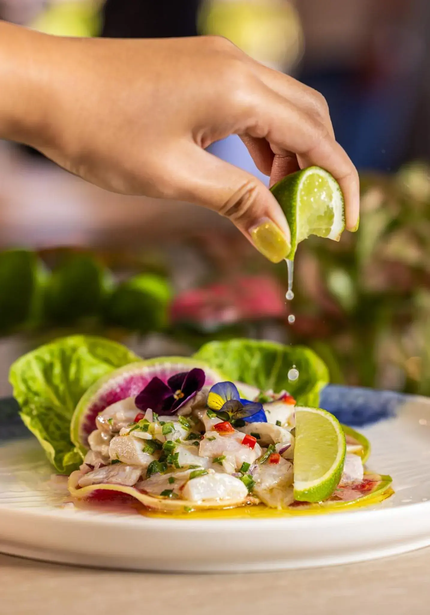 Restaurant/places to eat in Ibis Darwin Airport Hotel Restaurant/places to eat in Ibis Darwin Airport Hotel