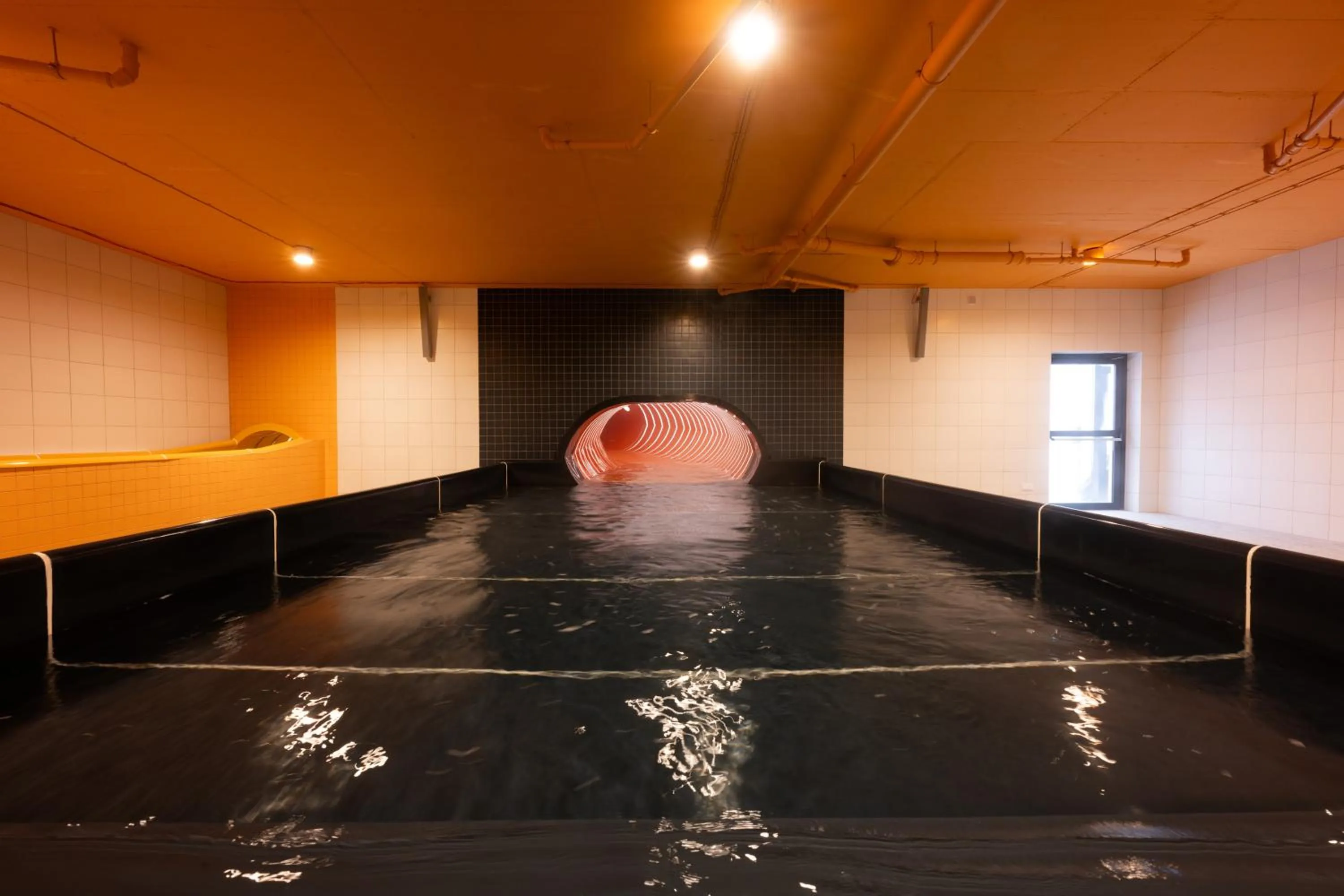 Aqua park in Mercure Szczyrk Resort