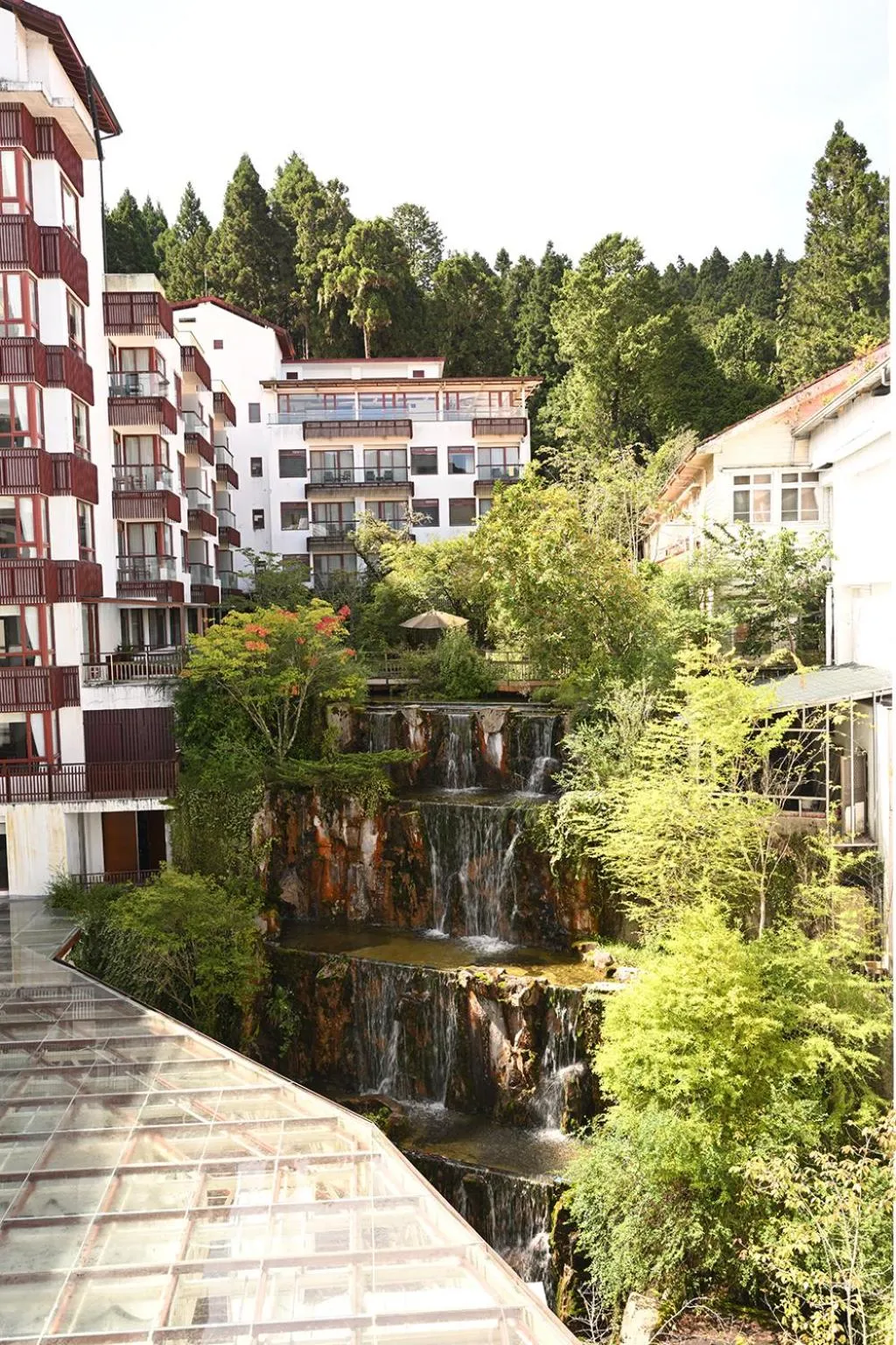 Natural landscape in Alishan Hotel