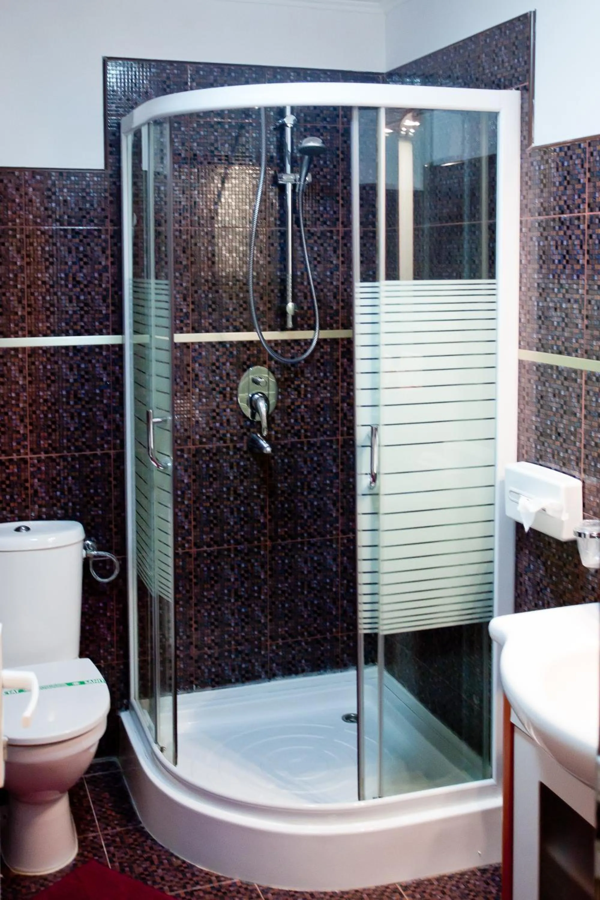 Bathroom in Hotel Parc Tecuci
