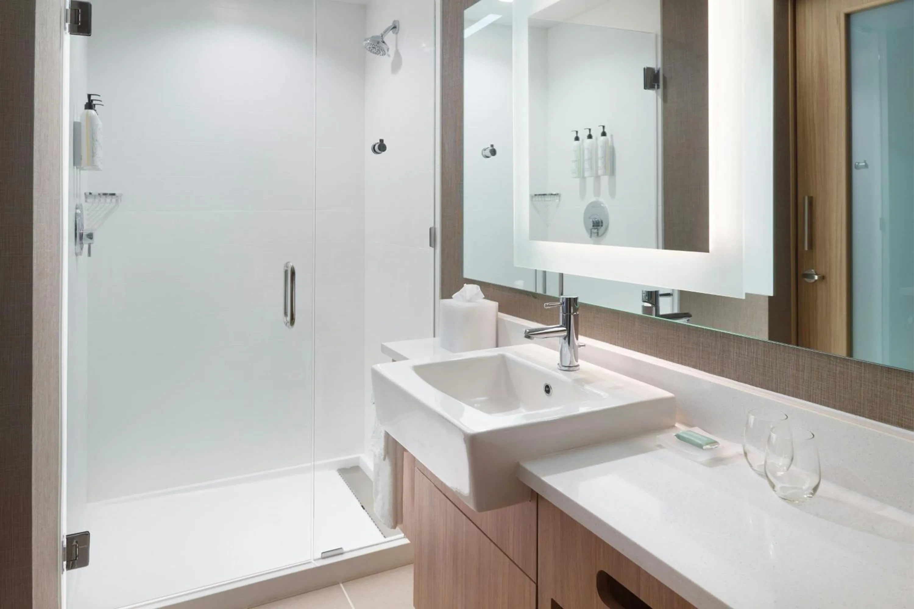 Bathroom in SpringHill Suites by Marriott Ellijay