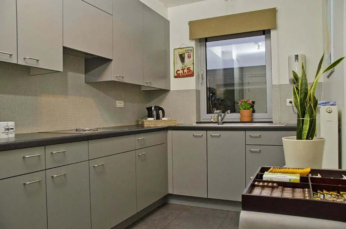 Kitchen or kitchenette in Hotel Apartments Belgium 1 - HAB 1
