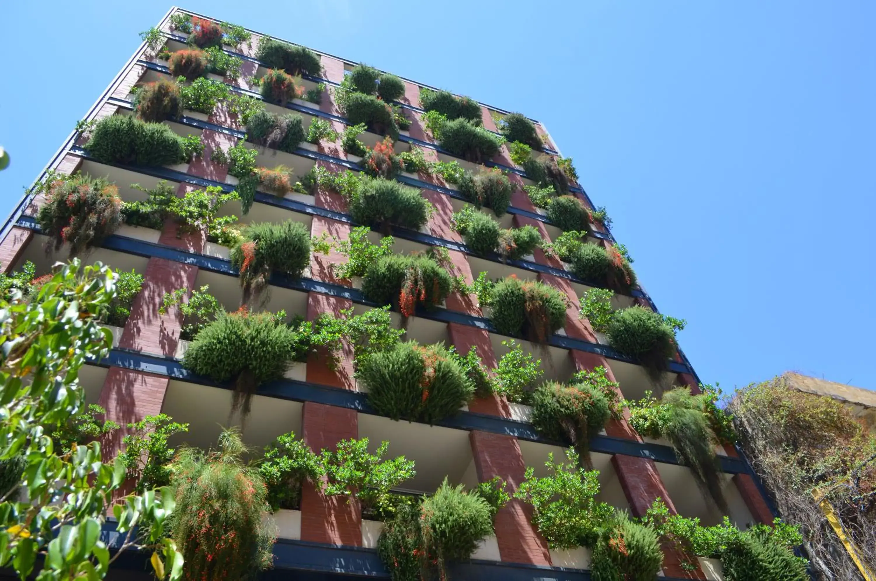 Nest 1 Hotel Nest 1 Hotel