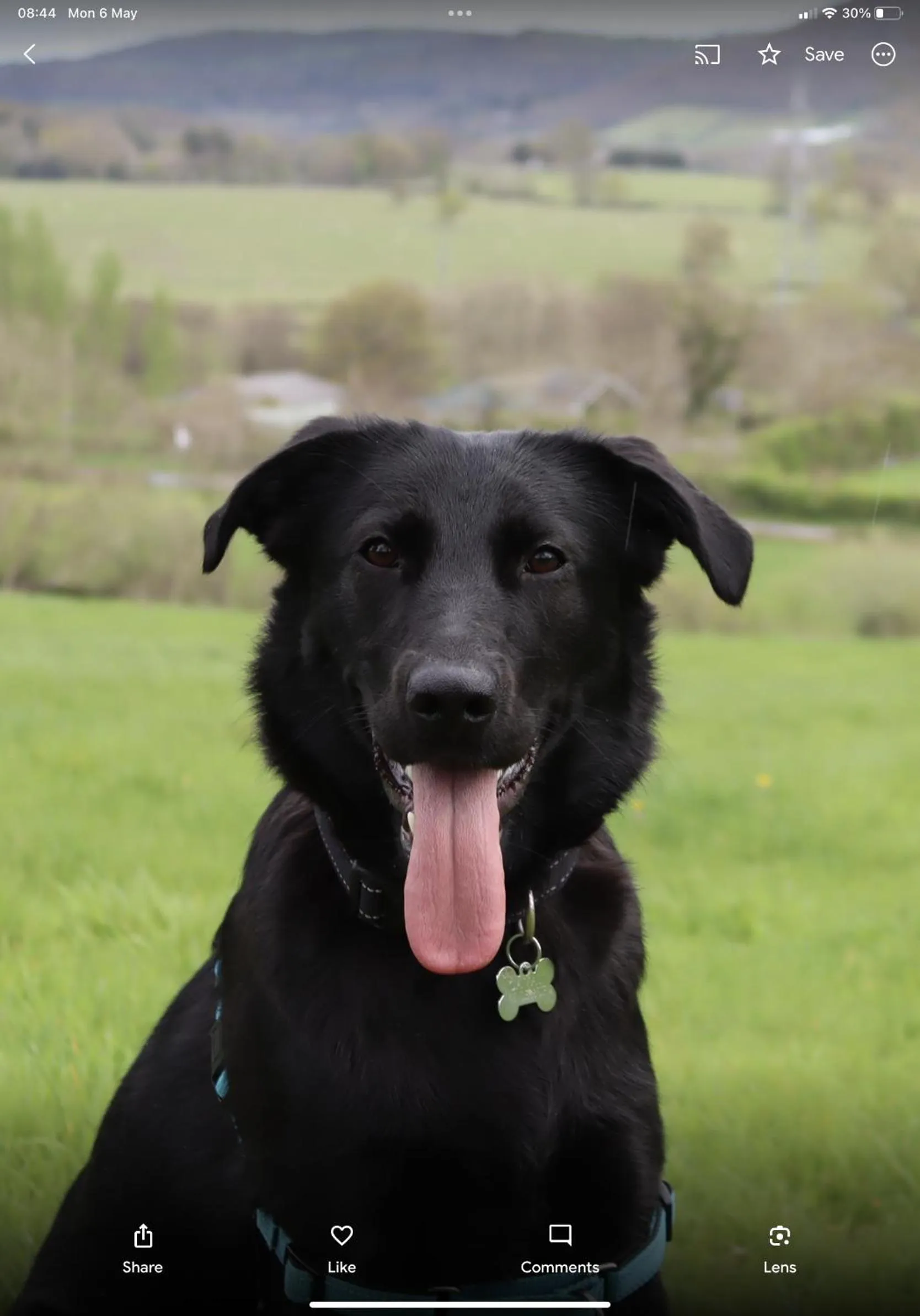 Pets in Little Lodge B&B Lutterworth