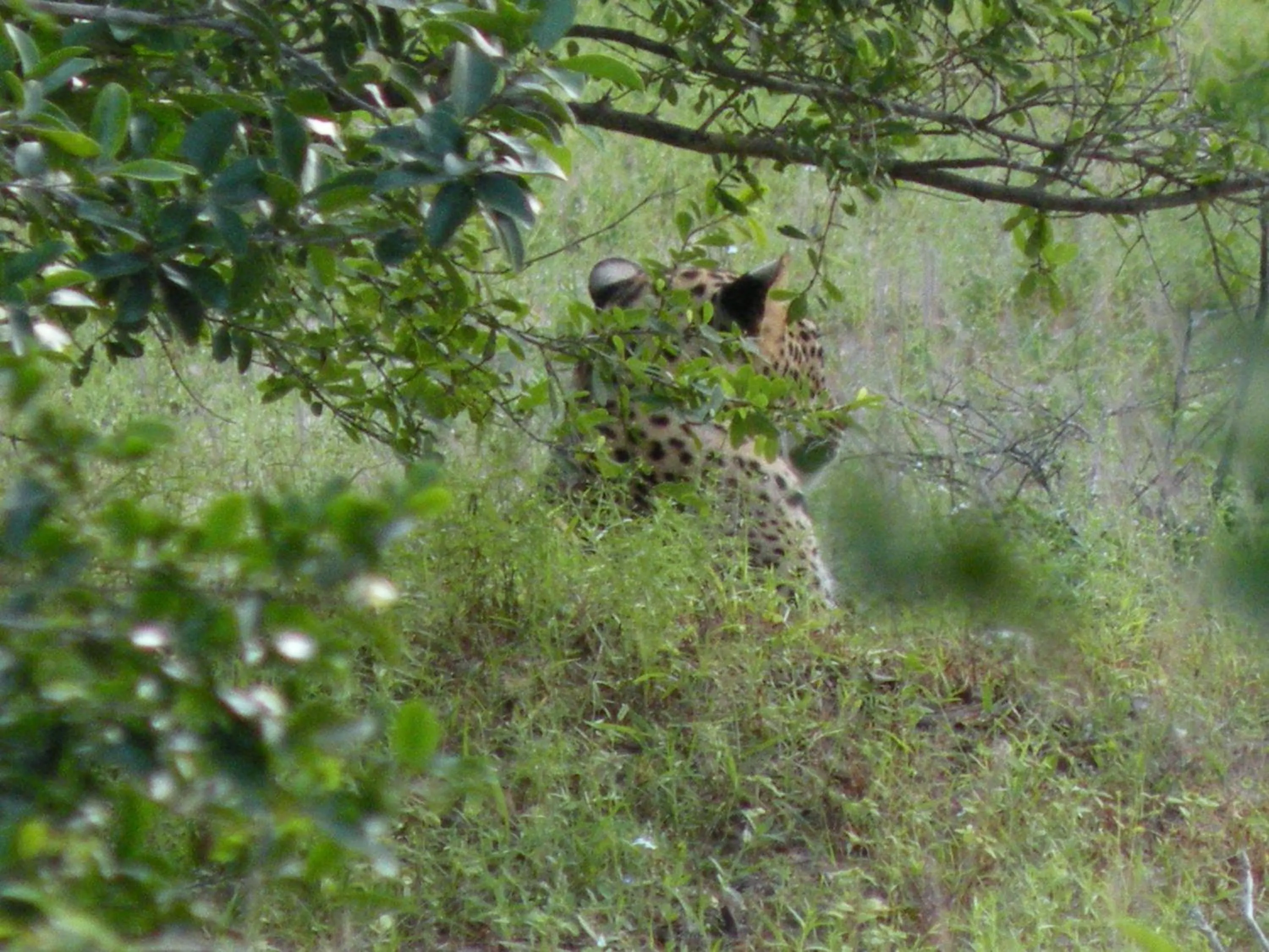 Hiking in Tissa Resort