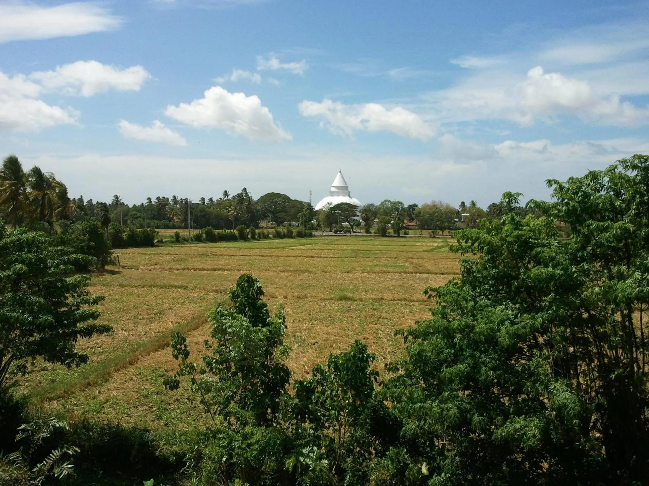 Area and facilities in Tissa Resort