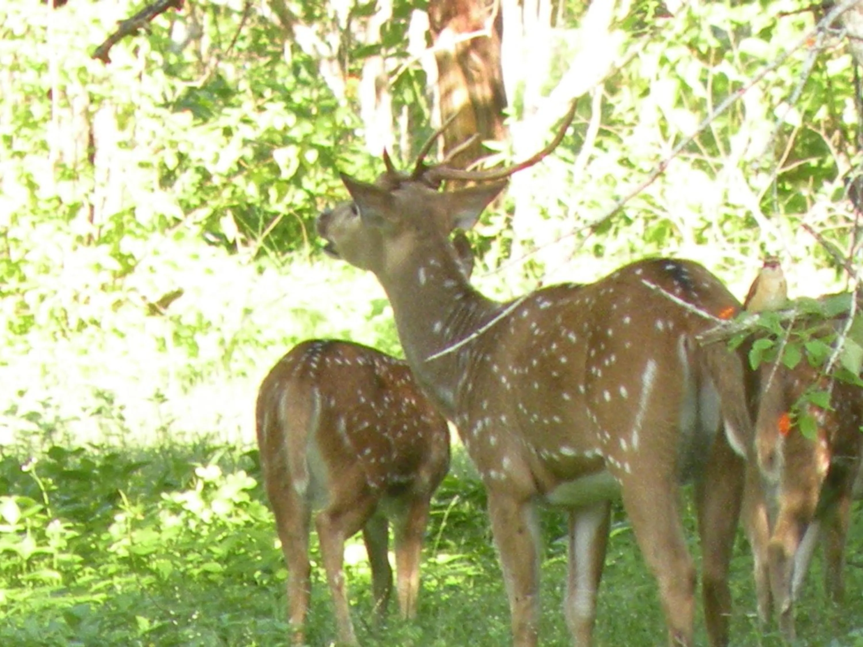 Hiking in Tissa Resort