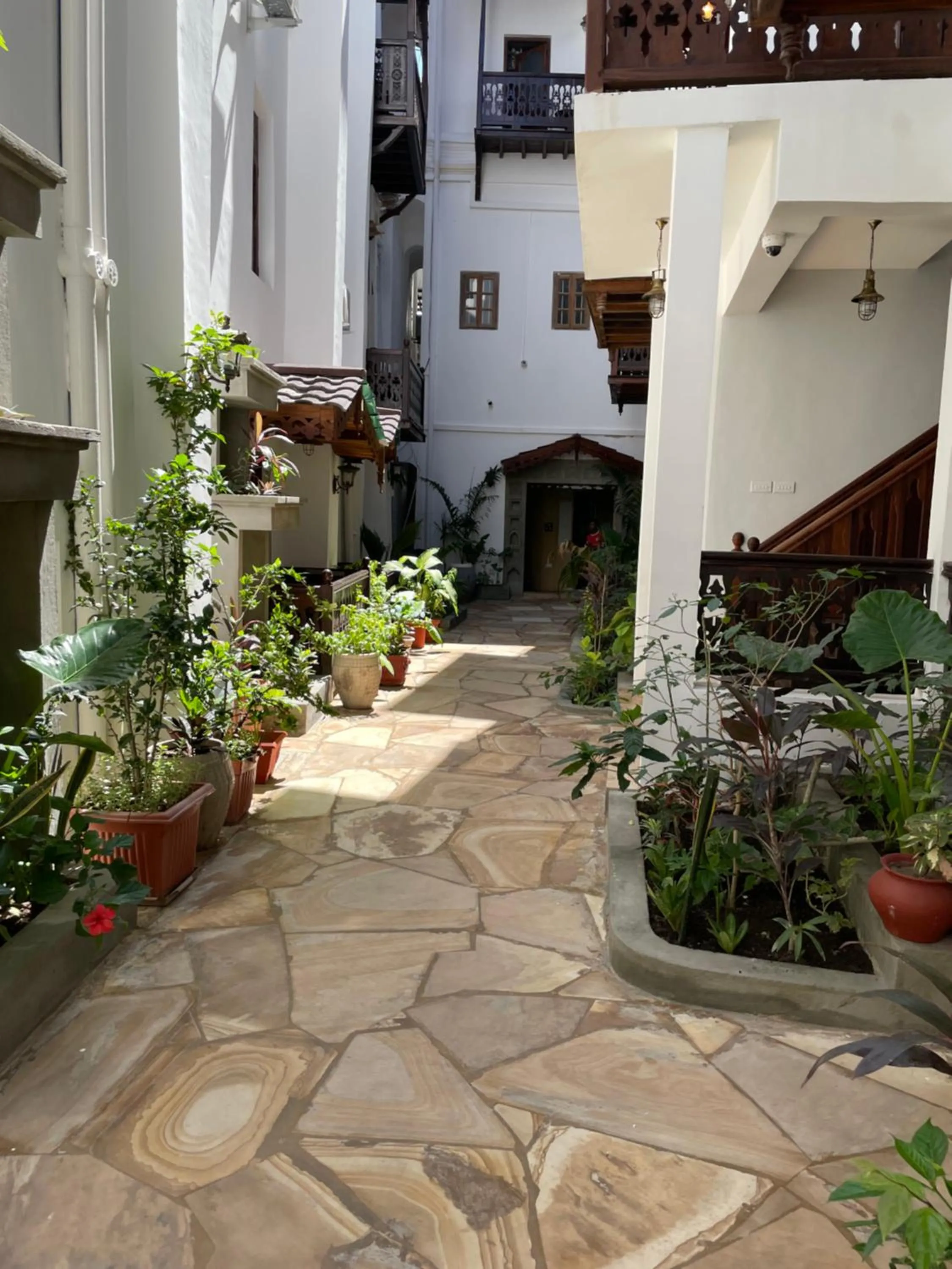 Garden in Mizingani Seafront Hotel