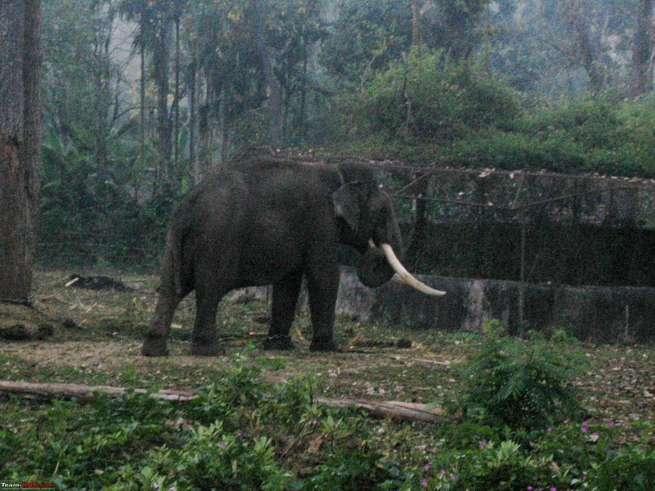 Other in Century Grand Hotel