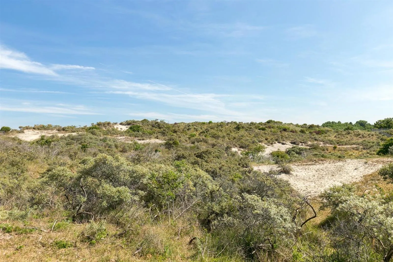 Day in Hotel De Torenhoeve