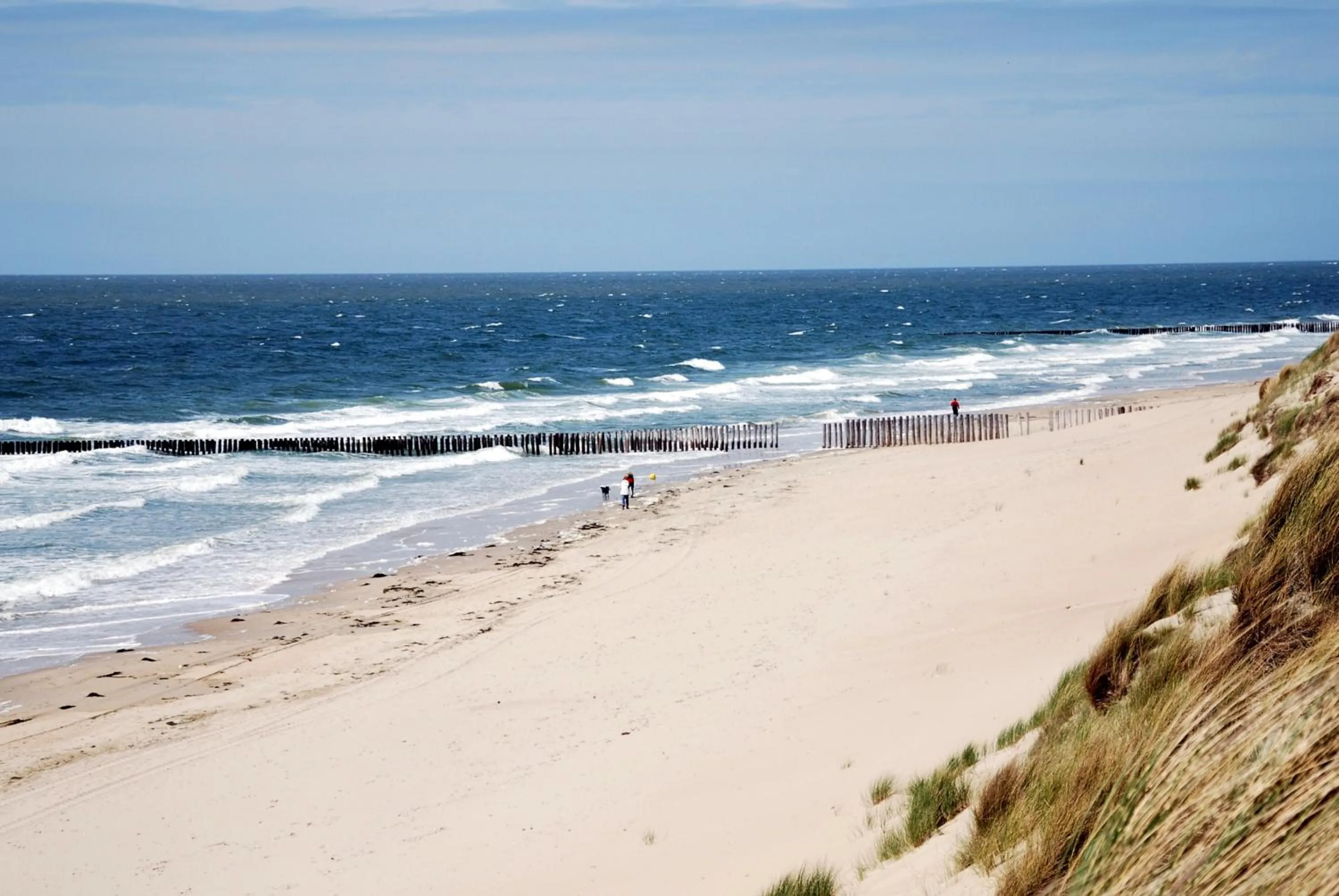 Natural landscape in Hotel De Torenhoeve